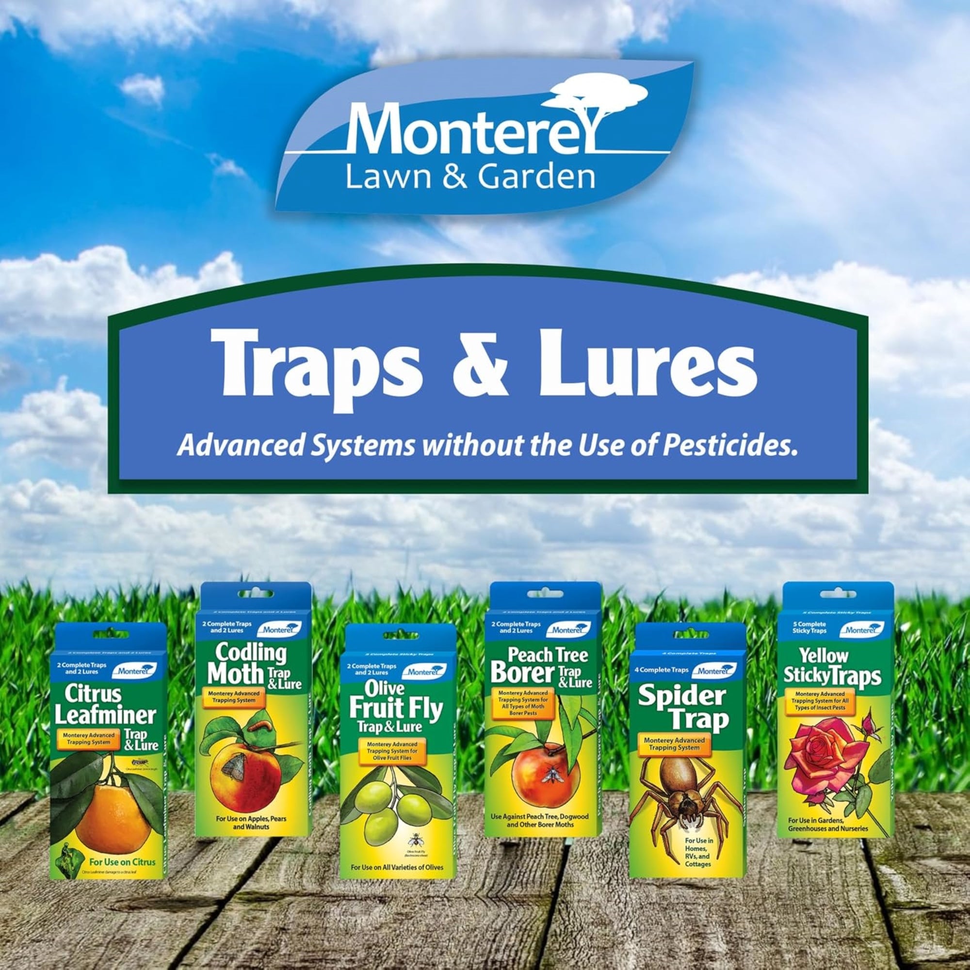 Monterey Disposable, Non-Toxic Yellowjacket & Wasp Traps, 2 Pack