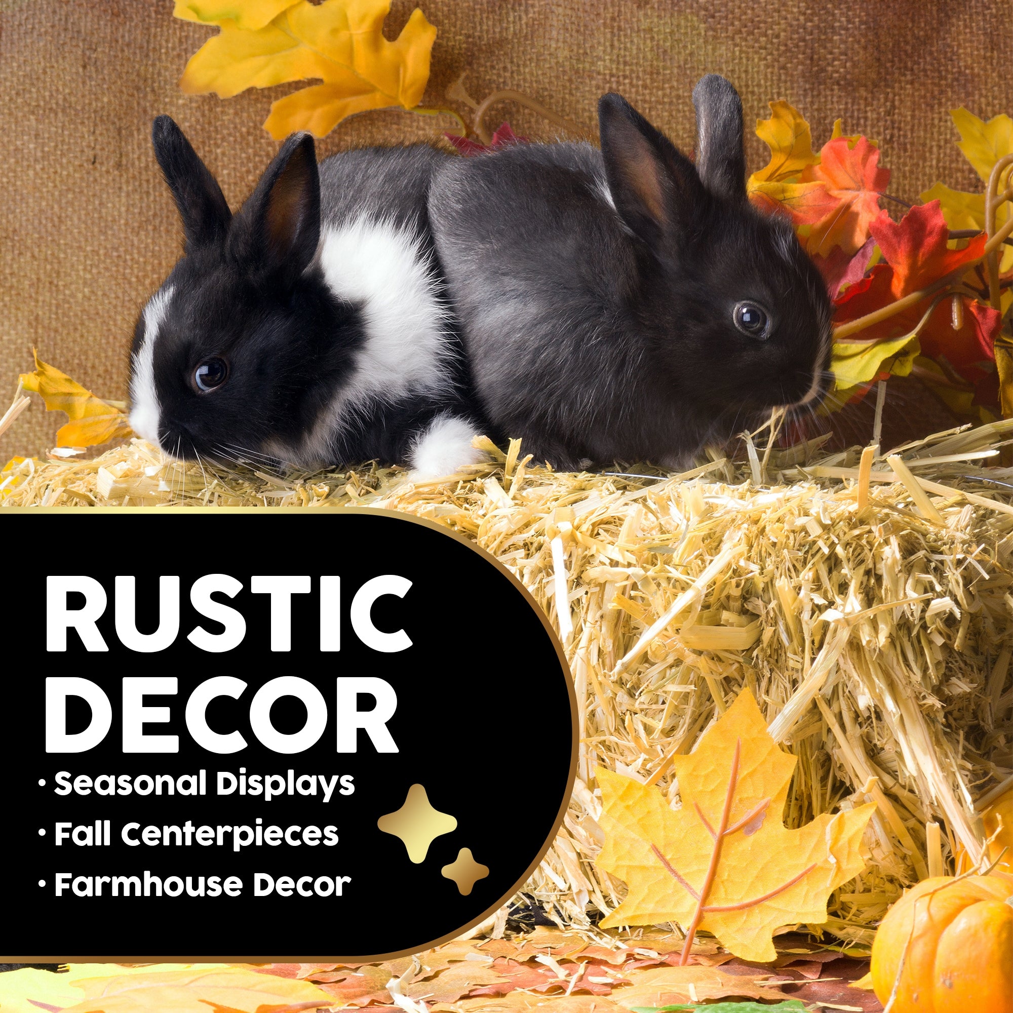 Firewood Central Mini Straw Bale by Morning View Acres – 100% Natural Wheat Straw for Gardening, Pet Bedding, Grass Seeding & Rustic Decor (12” x 4.5” x 6.5”) 2lb