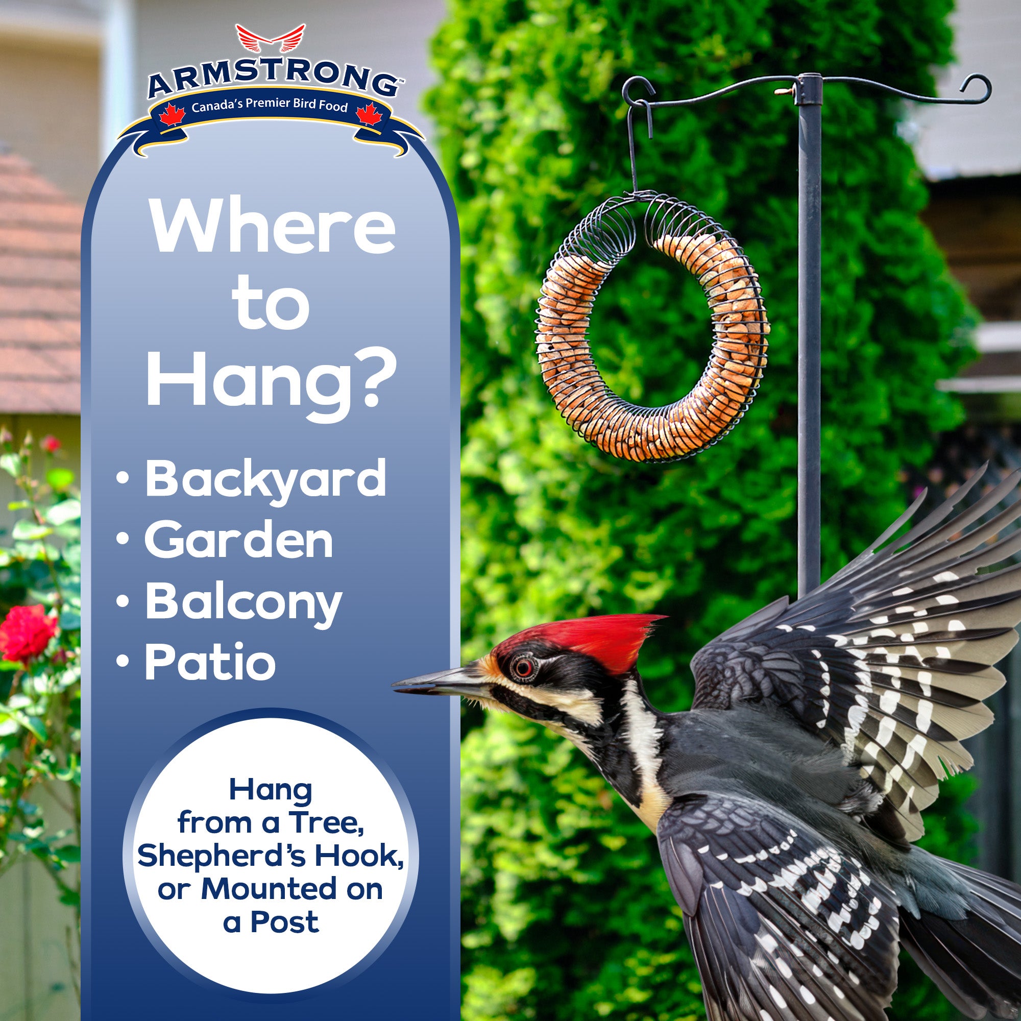 Armstrong Wild Bird Food Peanut Coil Feeder