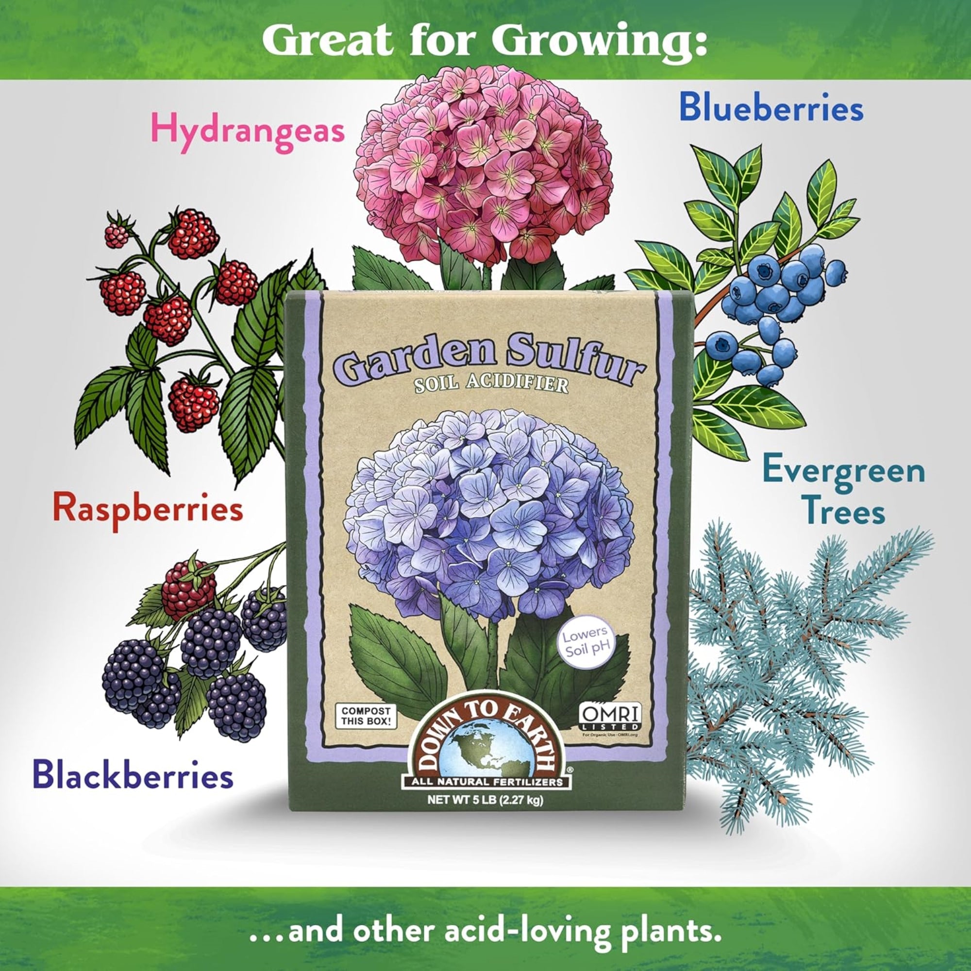 Down to Earth Garden Sulfur All Natural Soil Acidifier Amendment, 5lbs