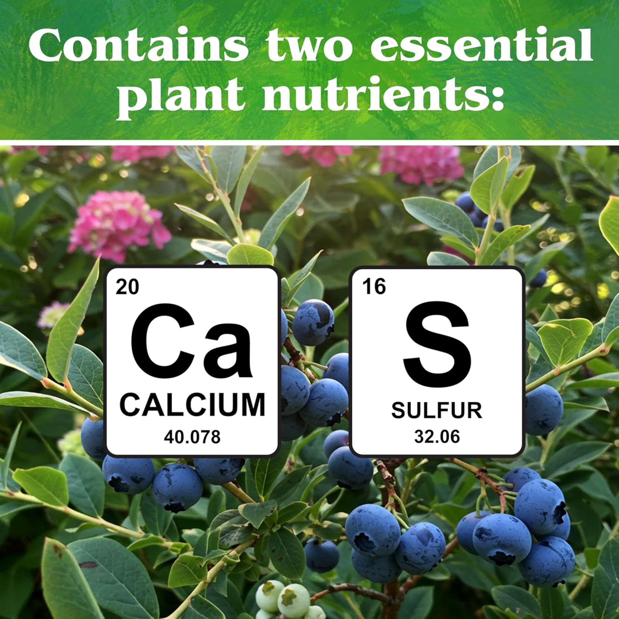 Down to Earth Garden Sulfur All Natural Soil Acidifier Amendment, 5lbs