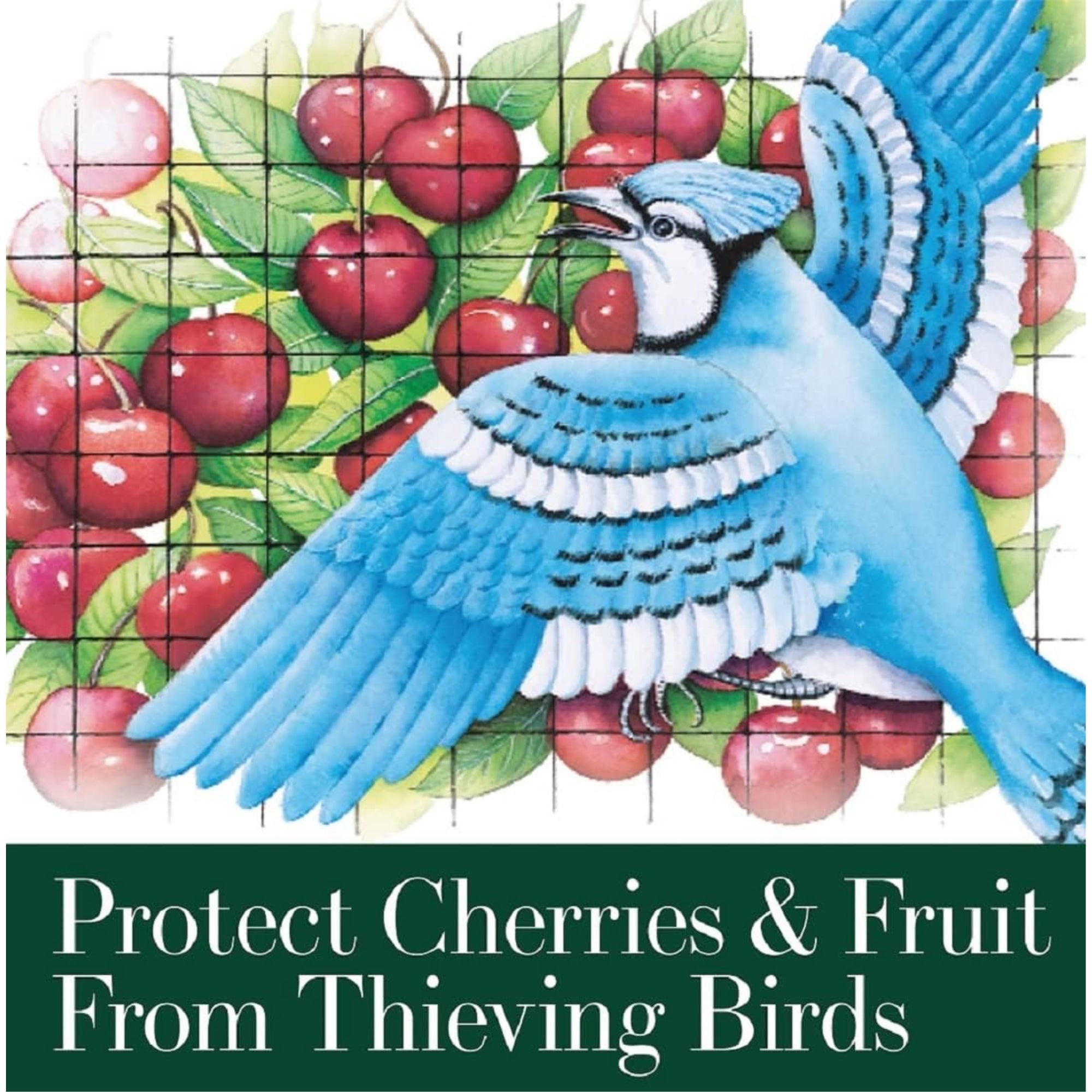 Dalen Bird-X Protective Mesh Netting, 28’ x 28’ - Fruit Trees and Berry Bushes