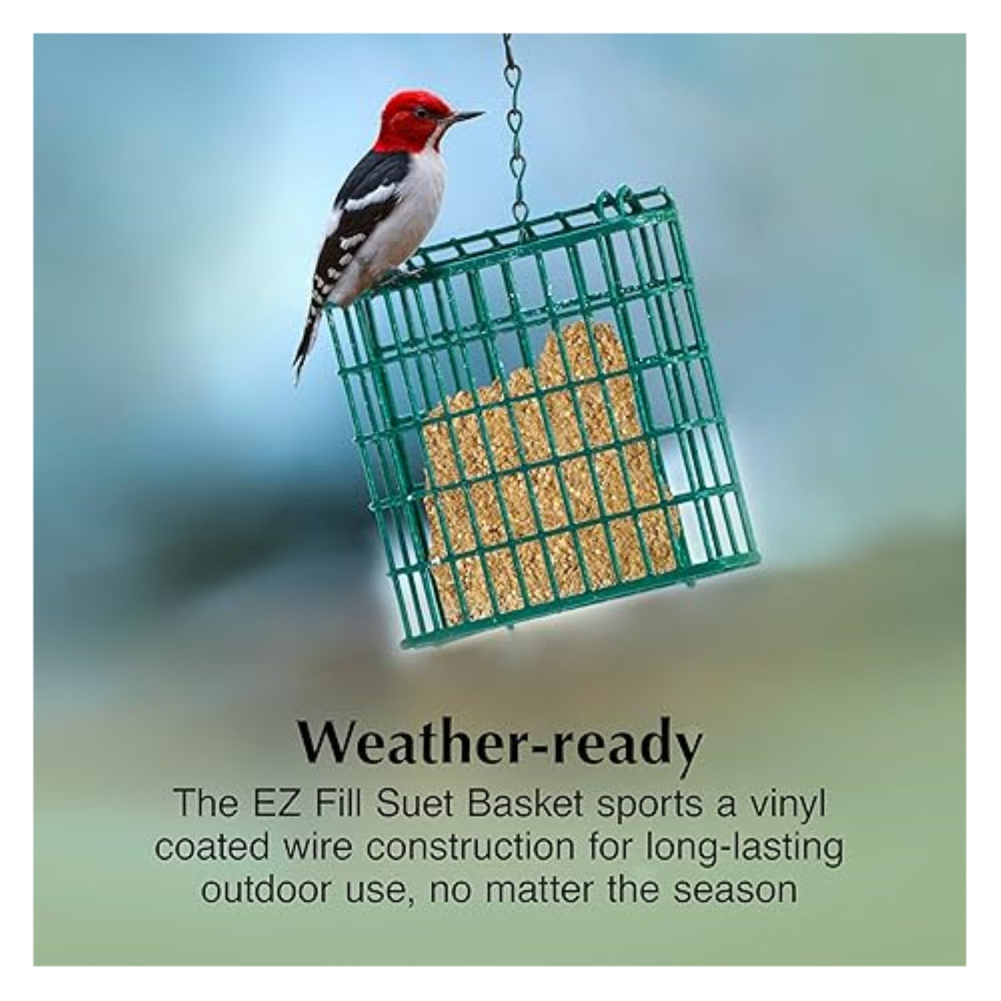 C&S EZ Fill Suet Basket — Vinyl-Coated Wire Hanging Wild Bird Feeder — Green, 5.25"