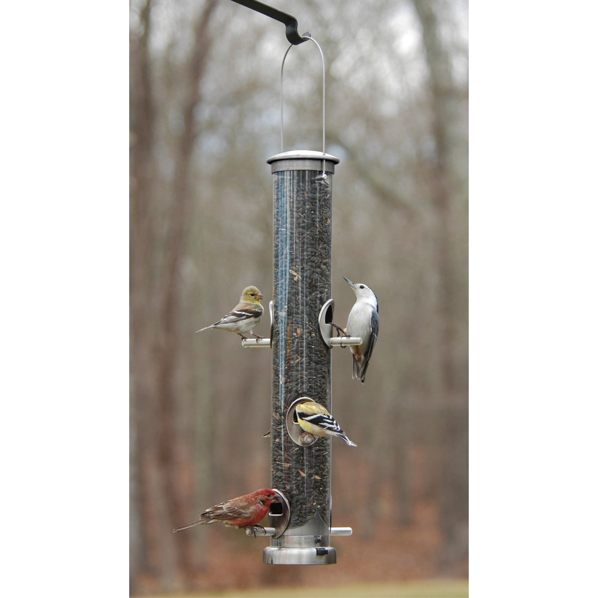 Aspects Quick-Clean Medium Seed Tube Feeder — Brushed Nickel Finish — 1 Qt Capacity