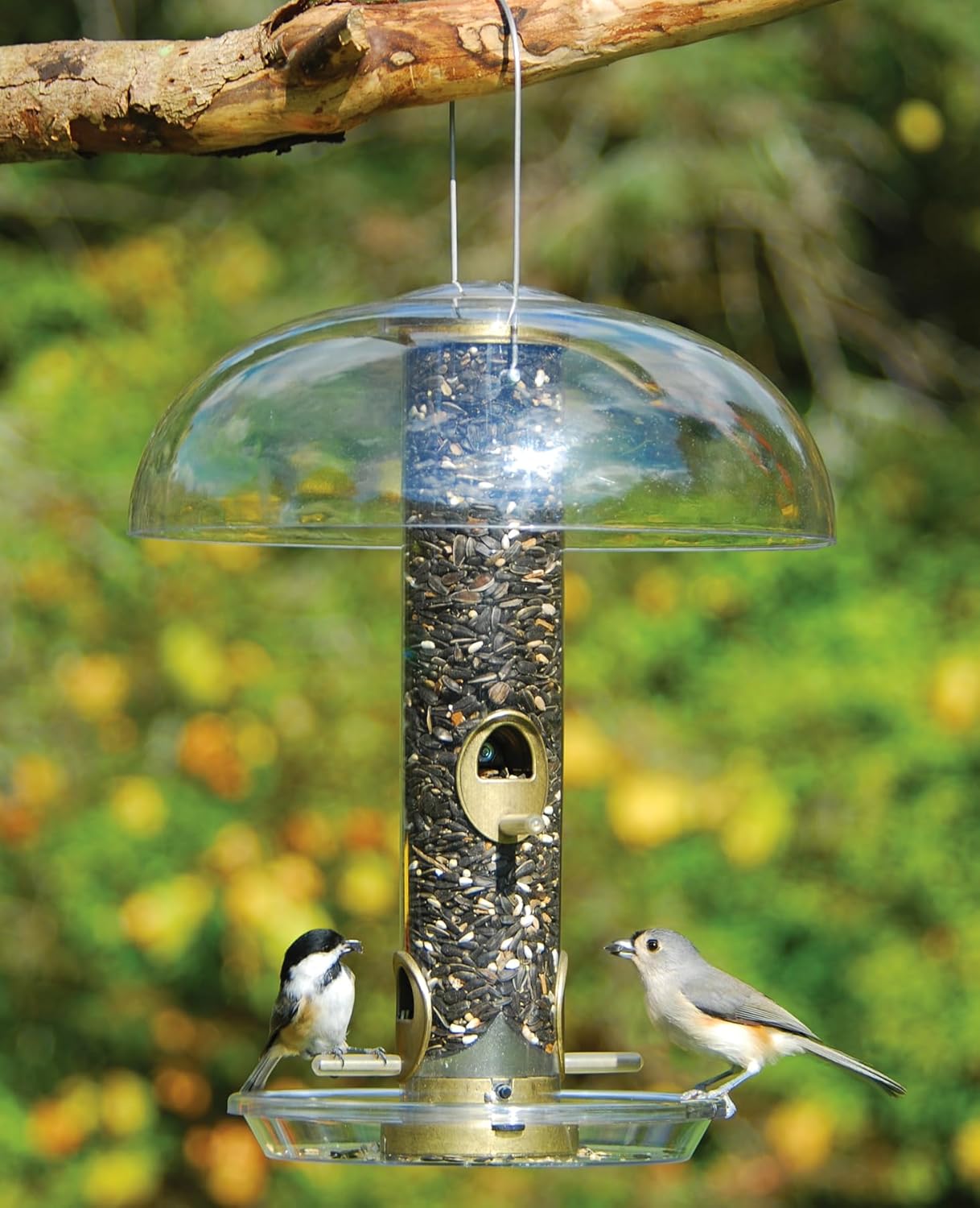 Aspects Squirrel-Proof Tube Top Dome for Bird Feeders, 12in Diameter