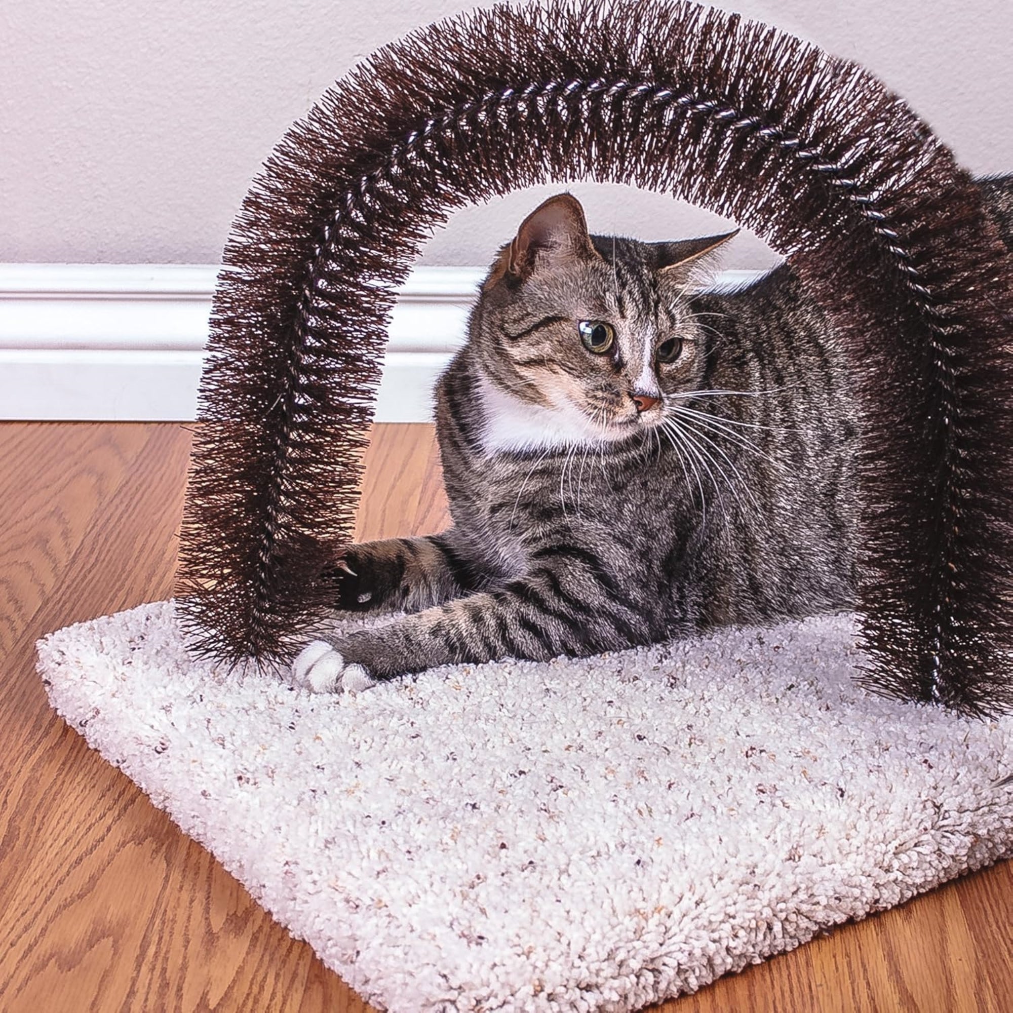 Ware Manufacturing Brush-N-Scratch Groomer with Nylon Bristles for Cats