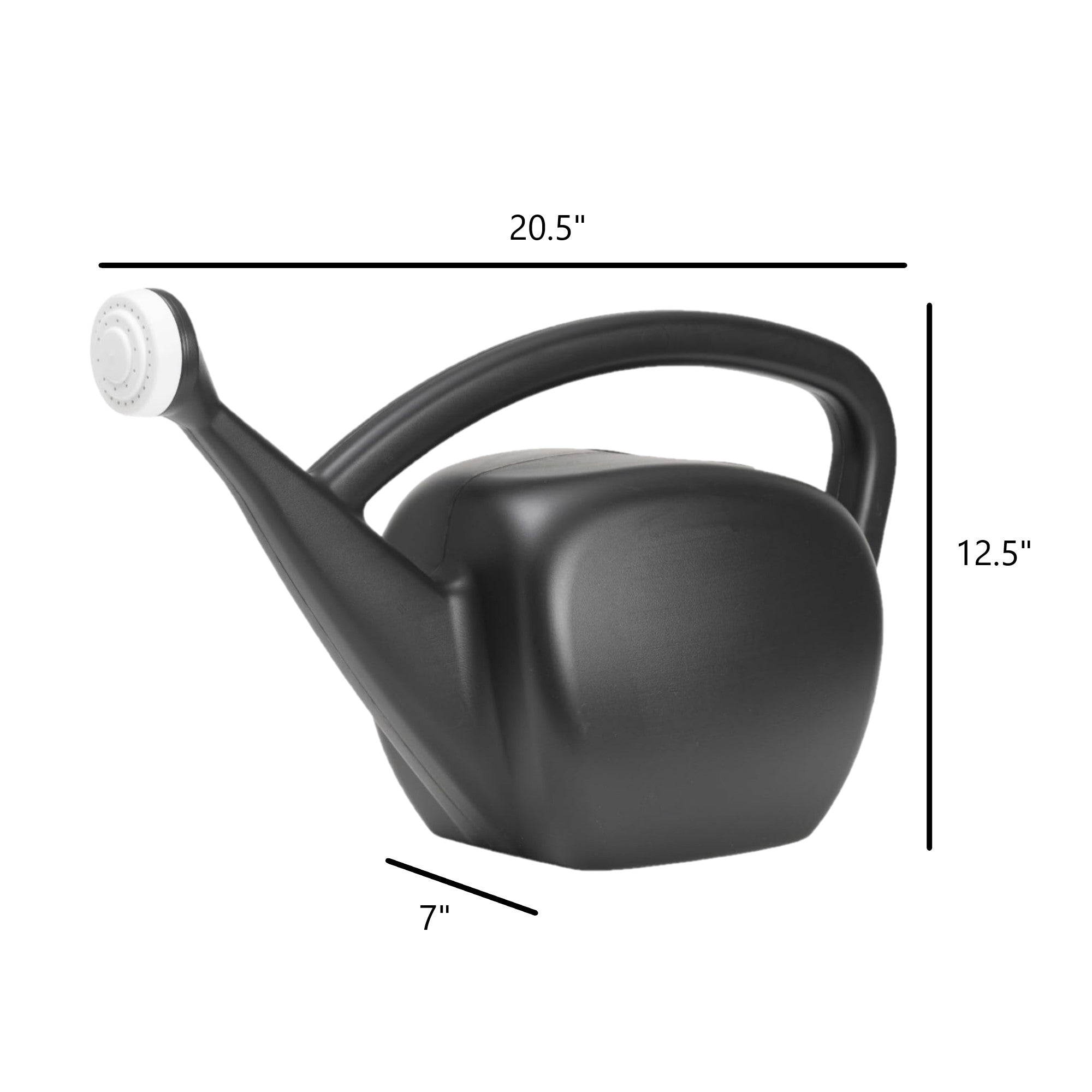 Root & Vessel Mid Century Modern Plastic Watering Can, Black, 2 Gallon