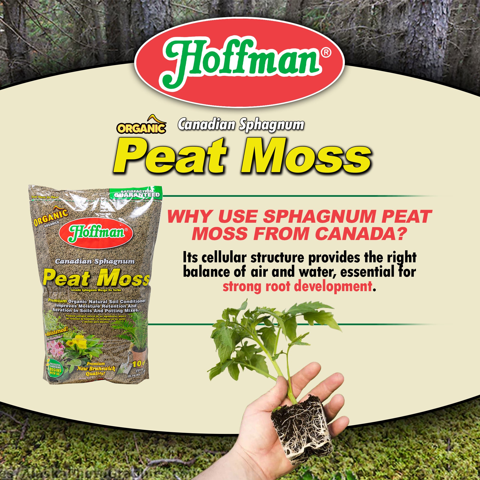 Hoffman Canadian Sphagnum Peat Moss Soil Conditioner to Improve Moisture Retention and Aeration