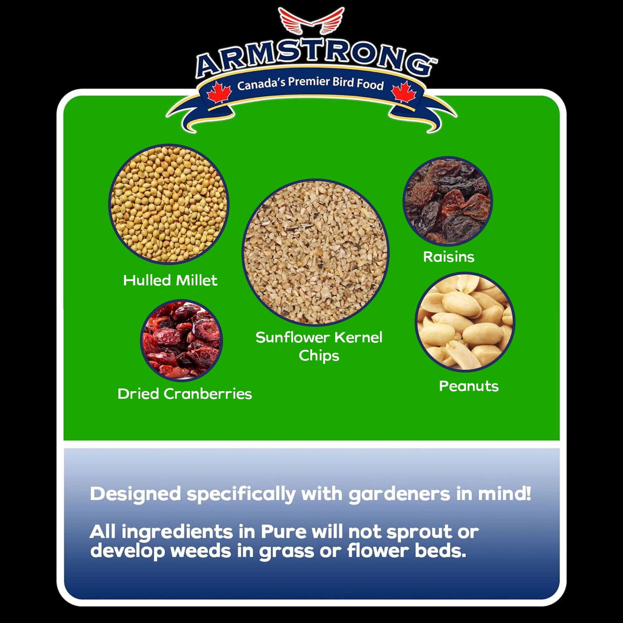 Armstrong Wild Bird Food Royal Jubilee Pure Blend, 5lb Jug