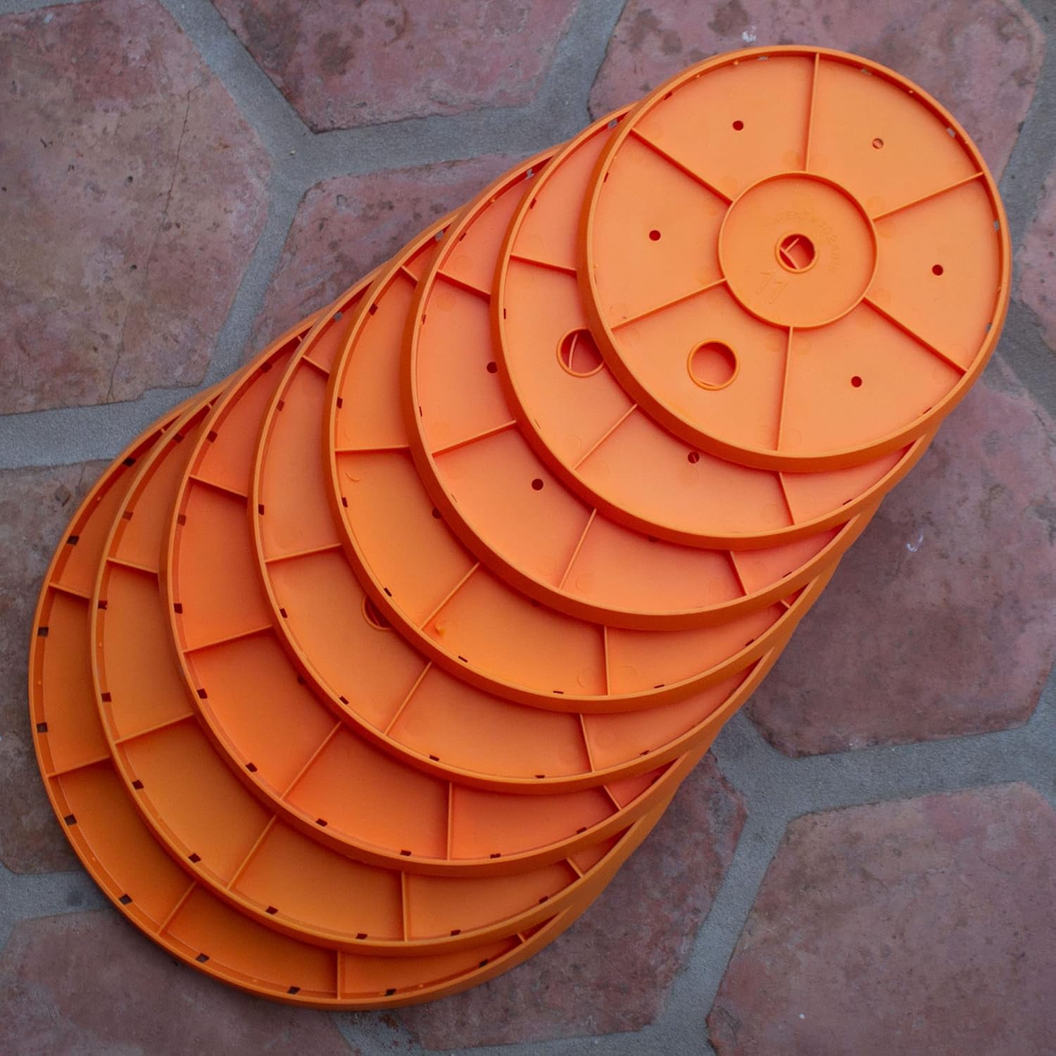 Bloem Ups-A-Daisy Flower Planter Insert, Orange