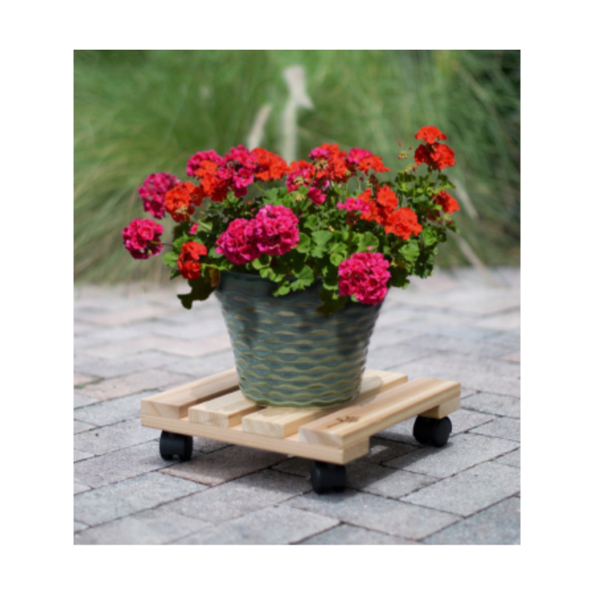 Plastec Indoor Cedar Wood Plant Caddy 12" Square Rolling Dolly with Wheels – Holds 200 lb – USA Made