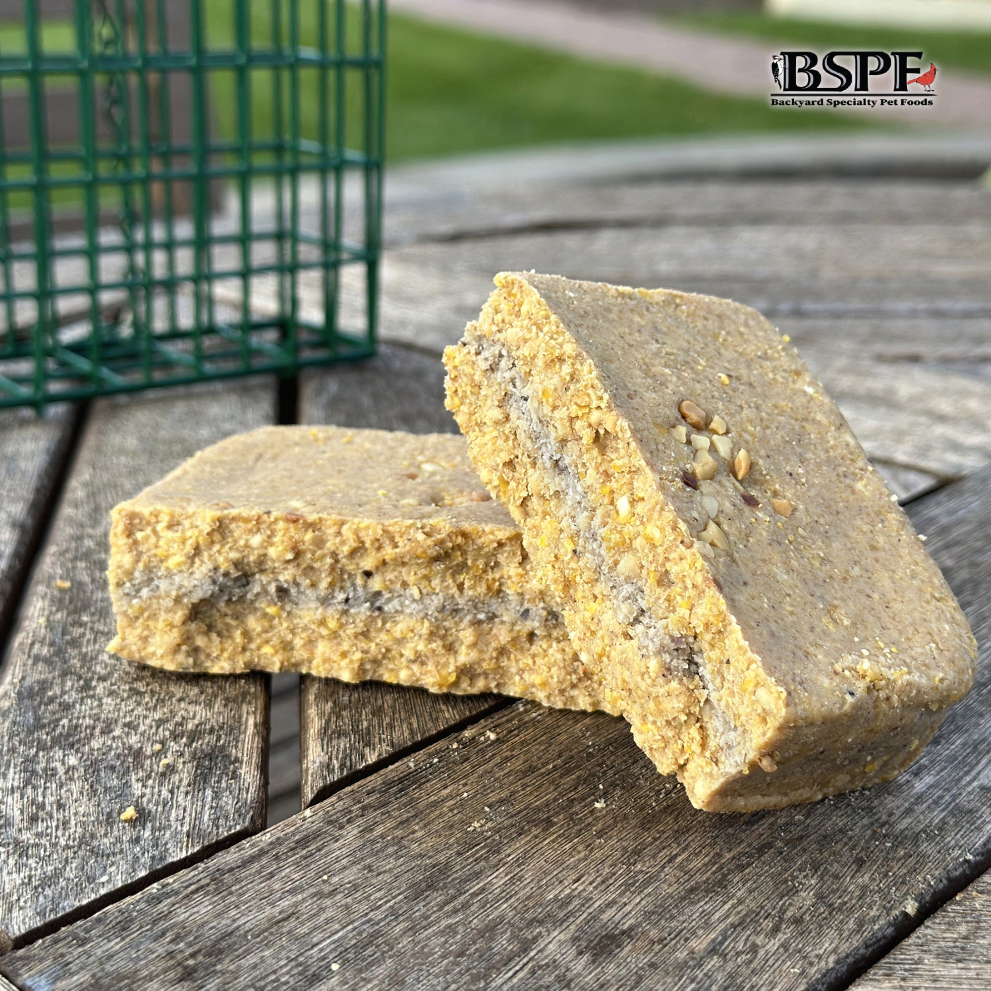 Hungrybird Energy+ No-Melt, High-Protein Suet Cake with Peanut Butter Filling for Outside Wild Bird Feeders