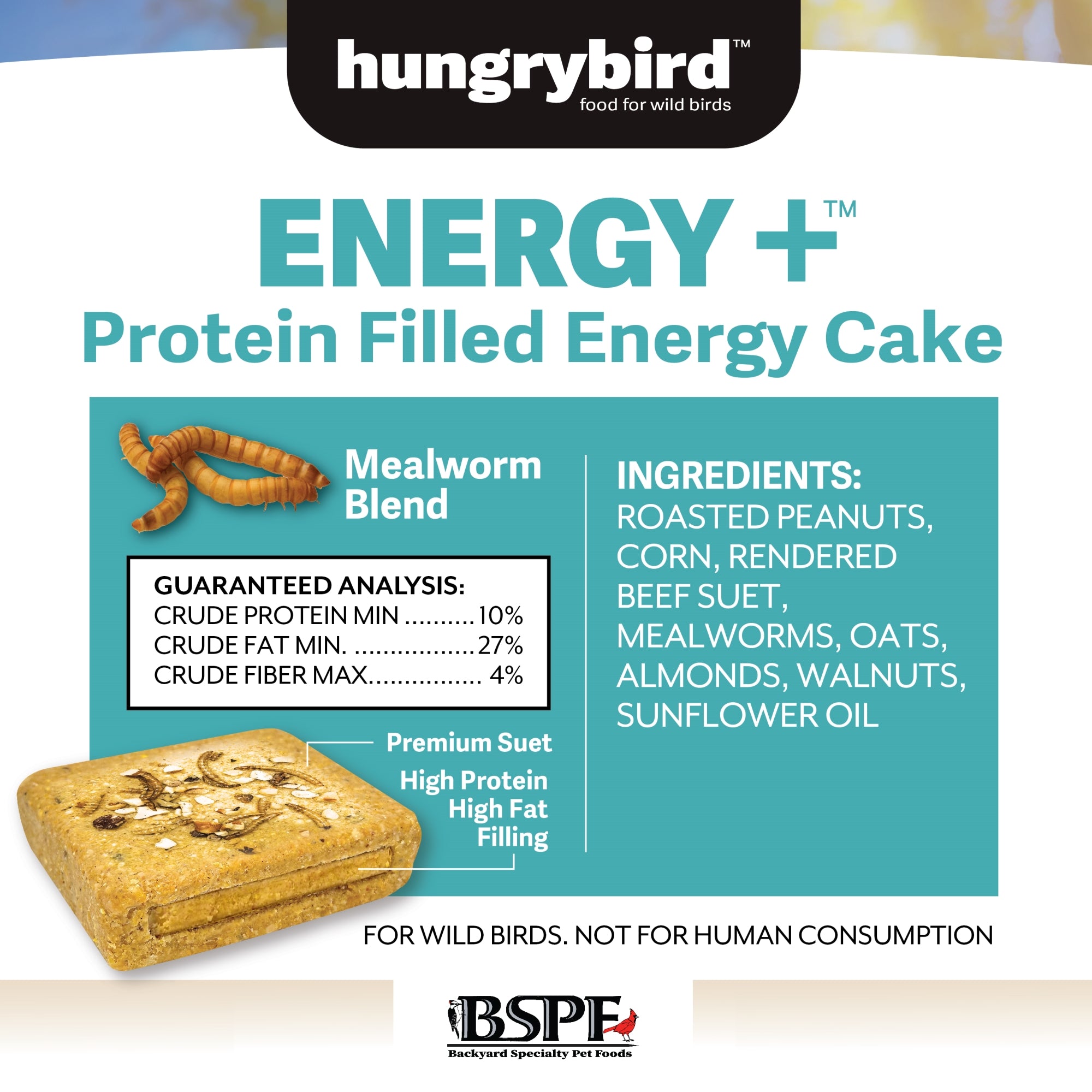 Hungrybird Energy+ No-Melt, High-Protein Suet Cake with Mealworm Filling for Outside Wild Bird Feeders