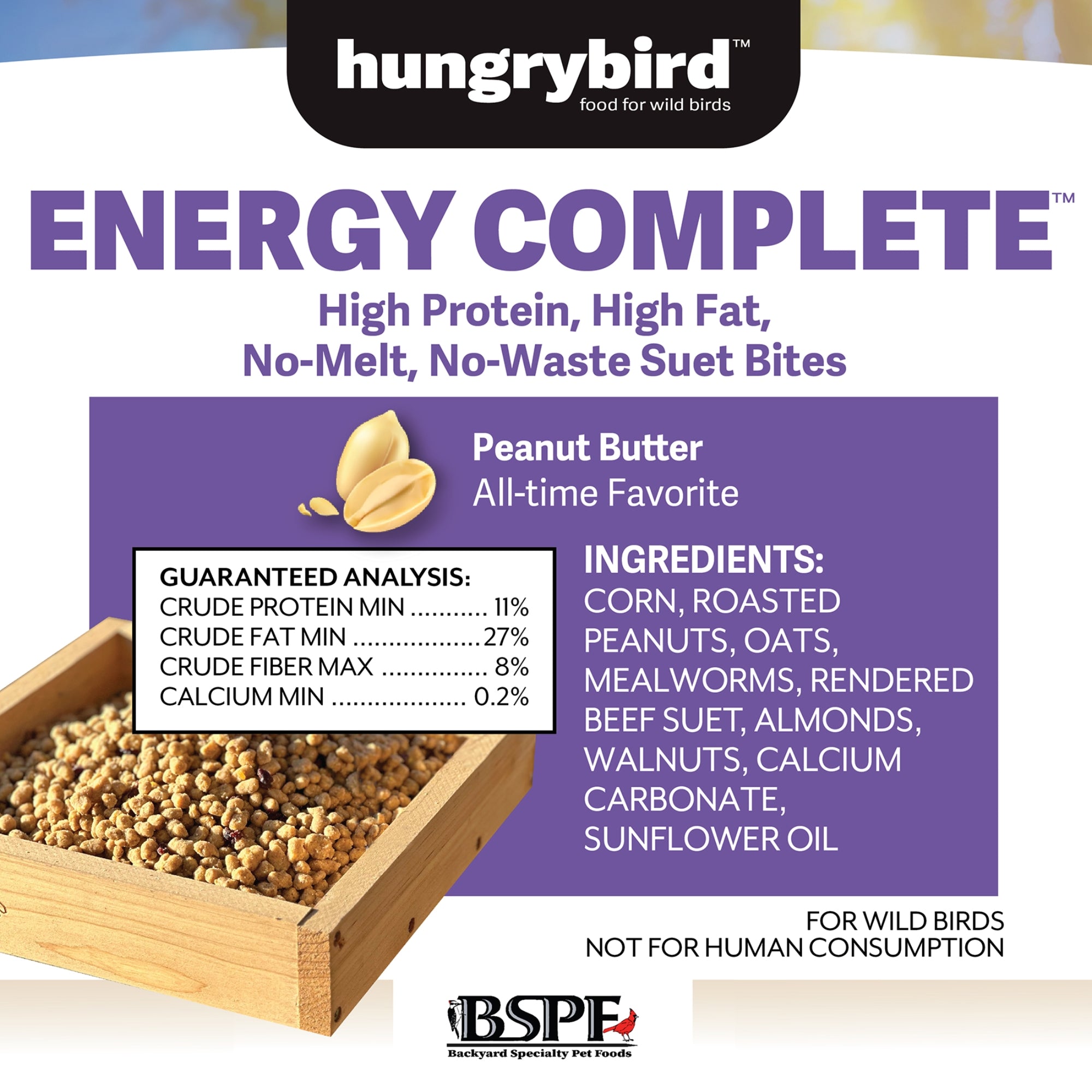 Hungrybird Energy Complete, 3lb - High-Protein Peanut Butter Suet Bites for Outside Wild Birds