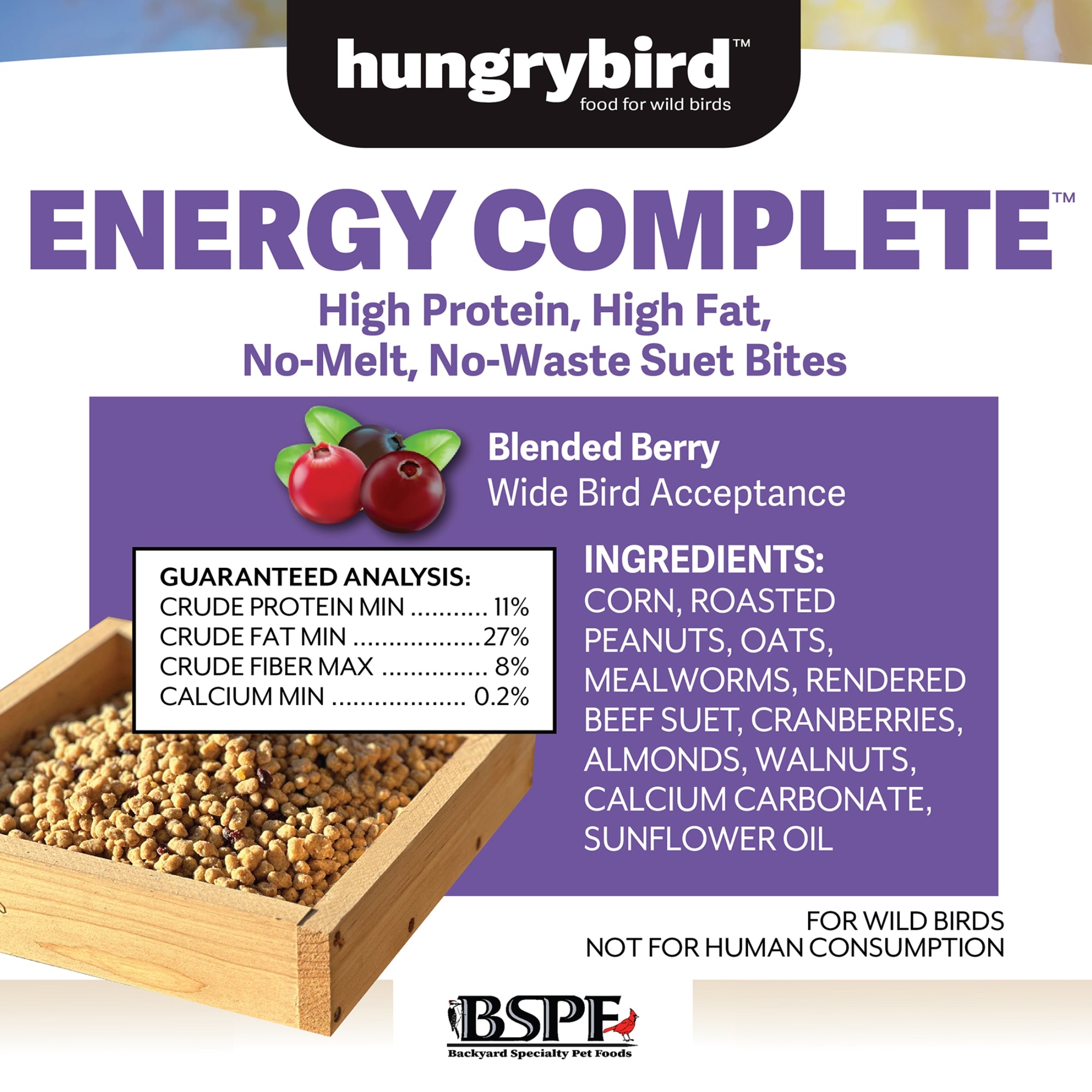 Hungrybird Energy Complete, 3lb - High-Protein Blended Berry Suet Bites for Outside Wild Bird