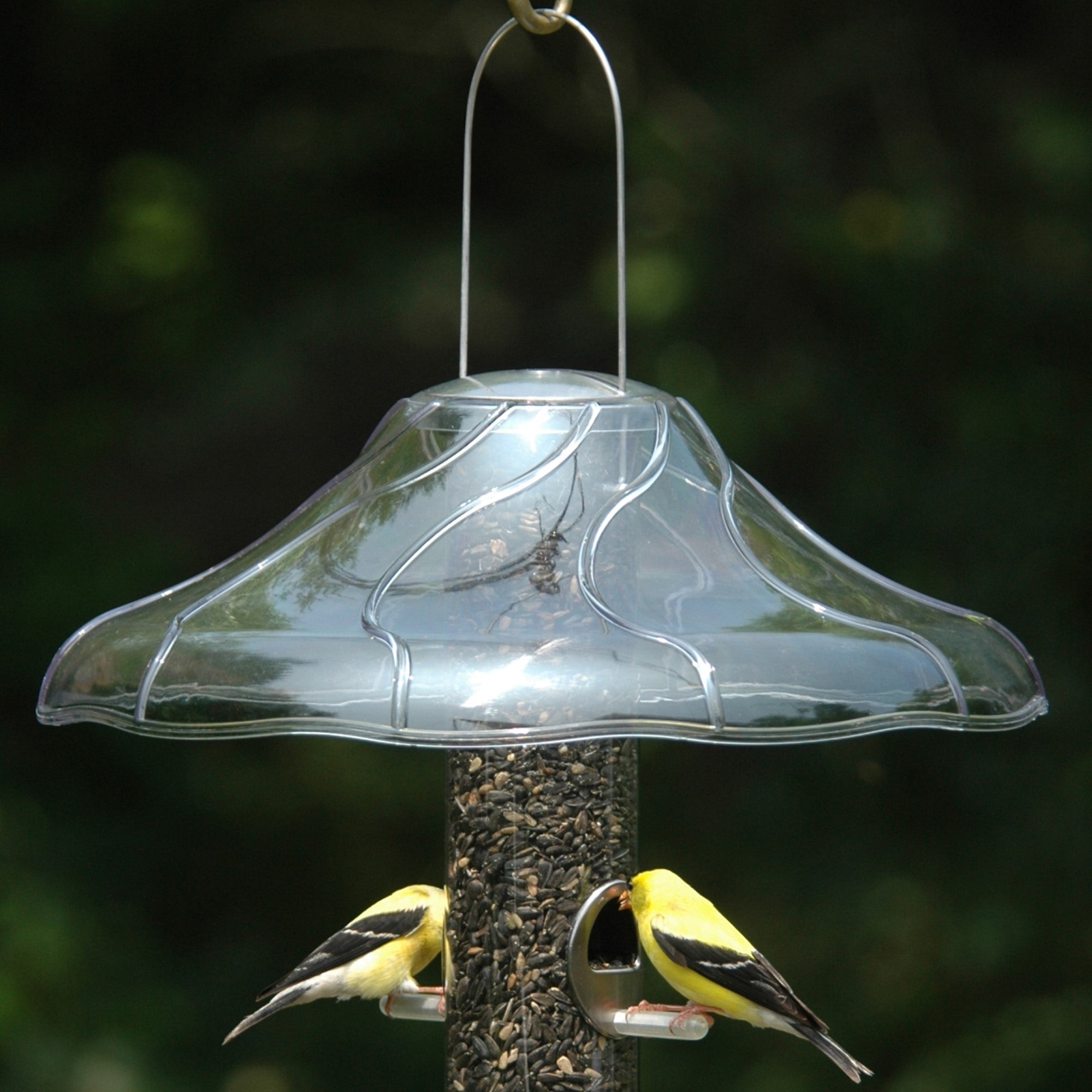 Aspects Fancy Swirl Squirrel-Proof Dome for Bird Feeders, 14in Diameter