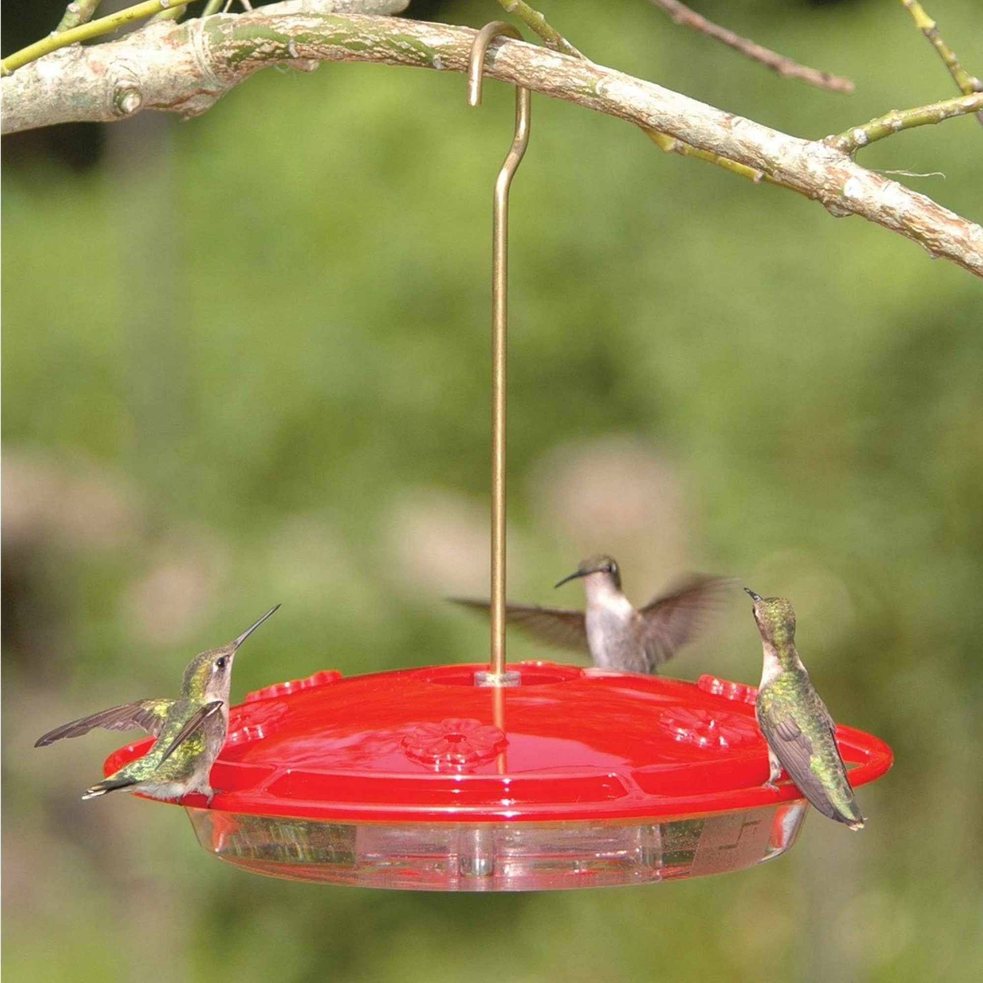 Aspects HummZinger Excel Nectar Bird Feeder with 6 Feeding Ports, 16oz Capacity