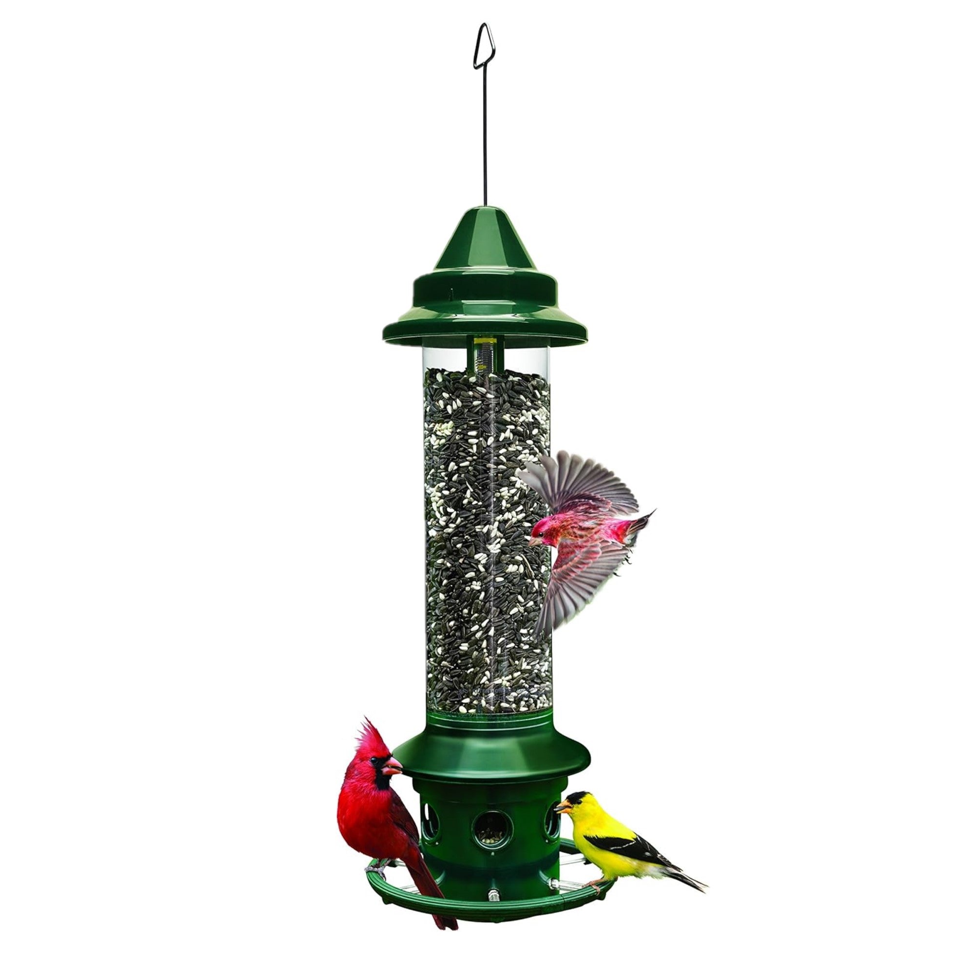 Brome Squirrel Buster Plus Wild Bird Feeder with Cardinal Perch Ring, 5lb Seed Capacity