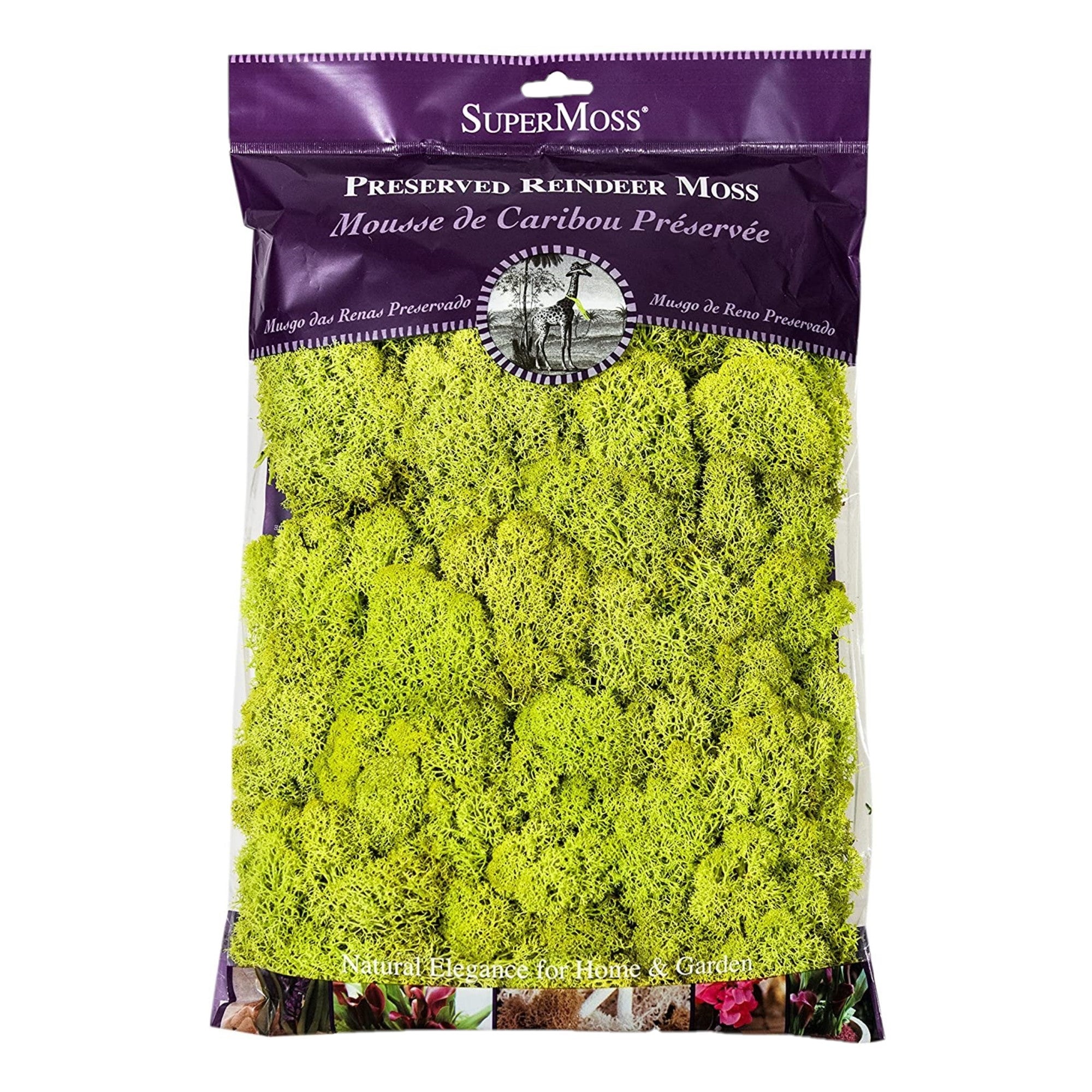 Super Moss Preserved Reindeer Moss, Chartreuse, 8oz (200 cu in)