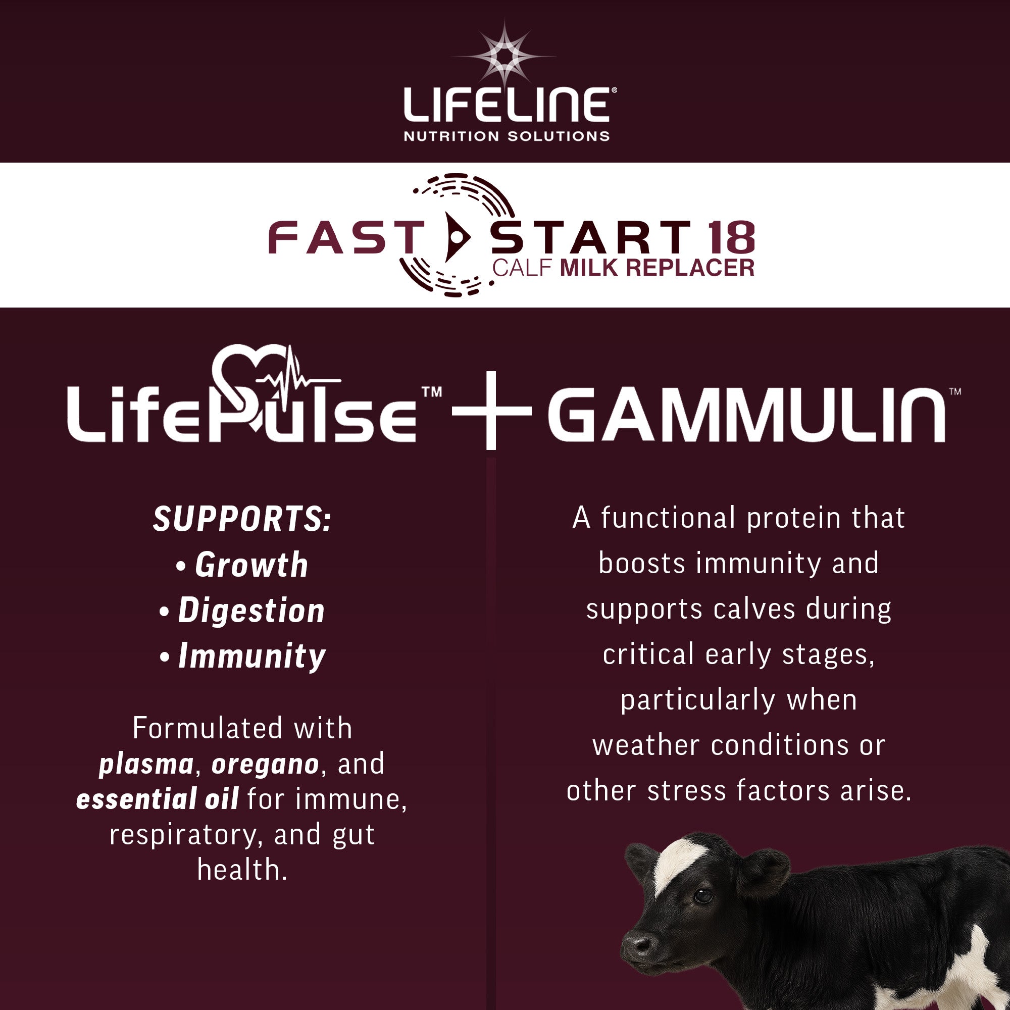 ANNUSO LIFELINE Fast Start 18 Calf Milk Replacer 24:20, 25lb Bag