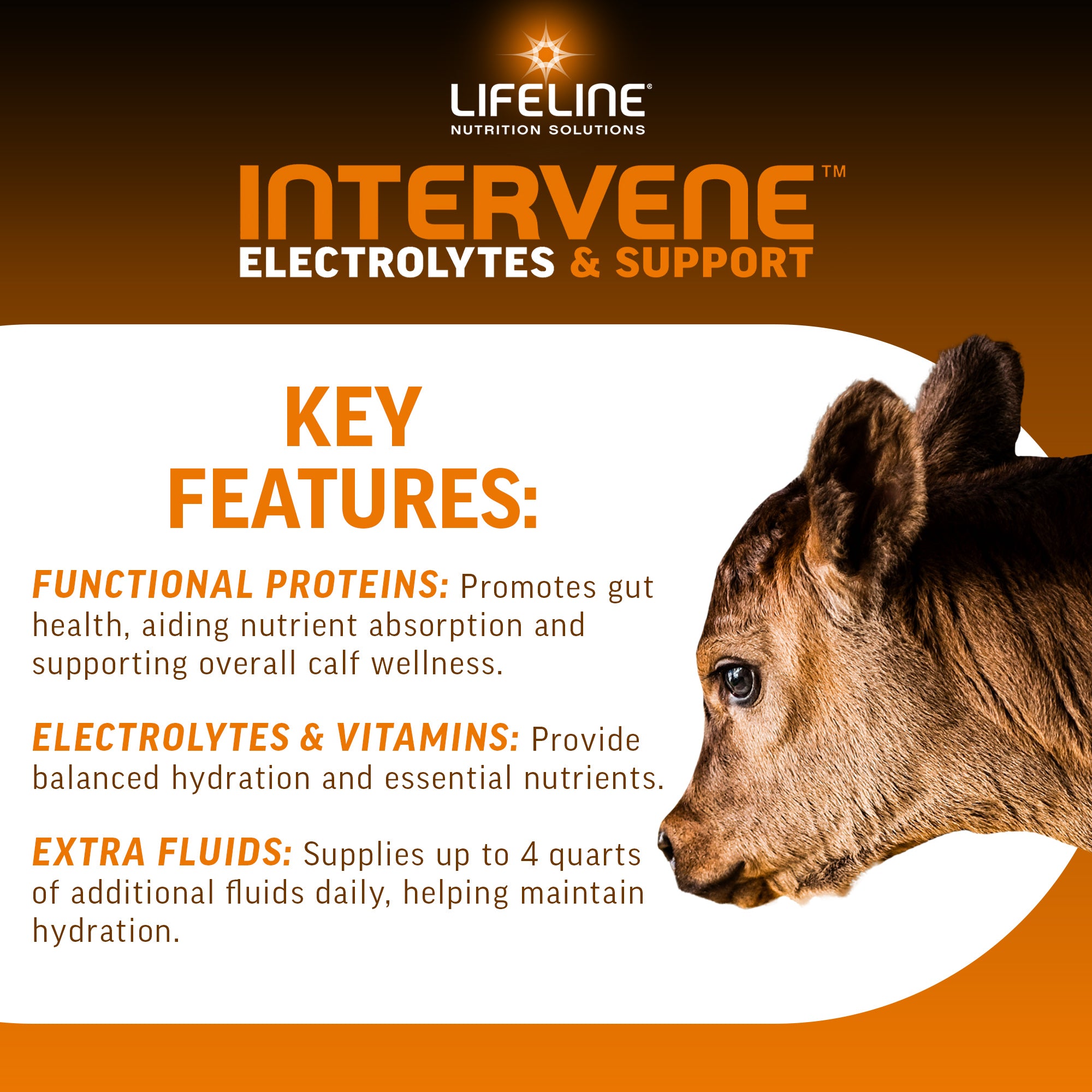ANNUSO LIFELINE Intervene Electrolytes & Immune Support for Calves, 1lb Bag