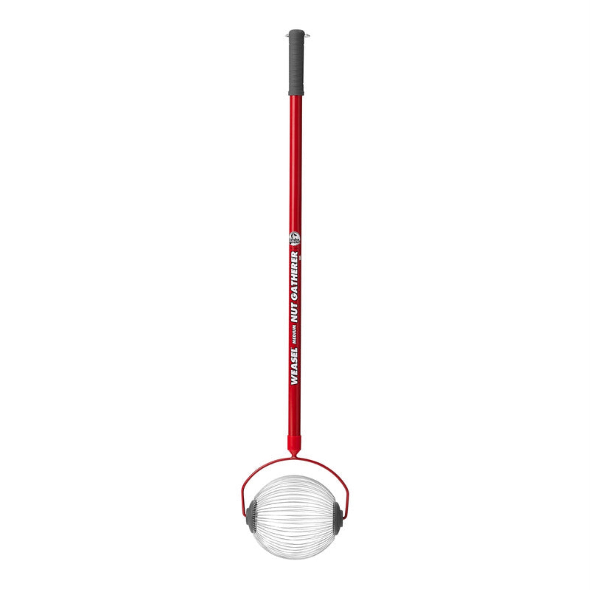 Garden Weasel Nut Gatherer Tool for Collecting Nuts and Small Objects, Medium