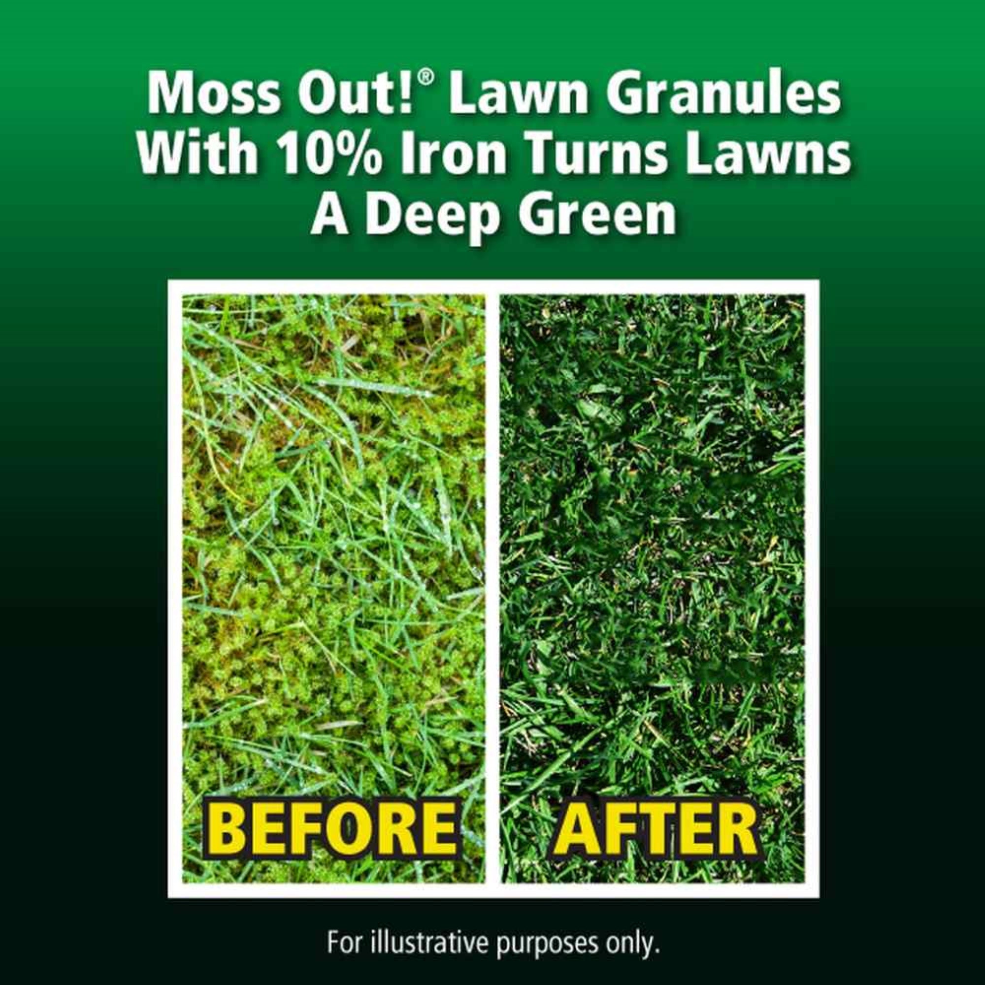 Lilly Miller Moss Out Herbicide Granules for Lawns, 5,000 sq ft, 20lbs