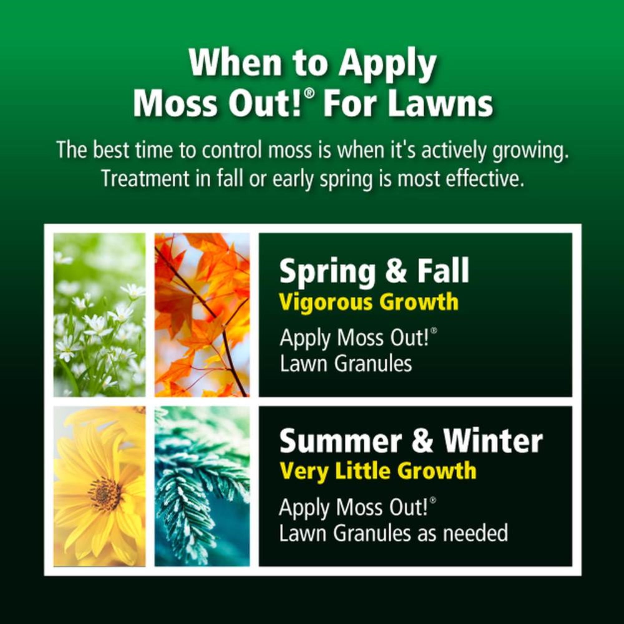 Lilly Miller Moss Out Herbicide Granules for Lawns, 5,000 sq ft, 20lbs