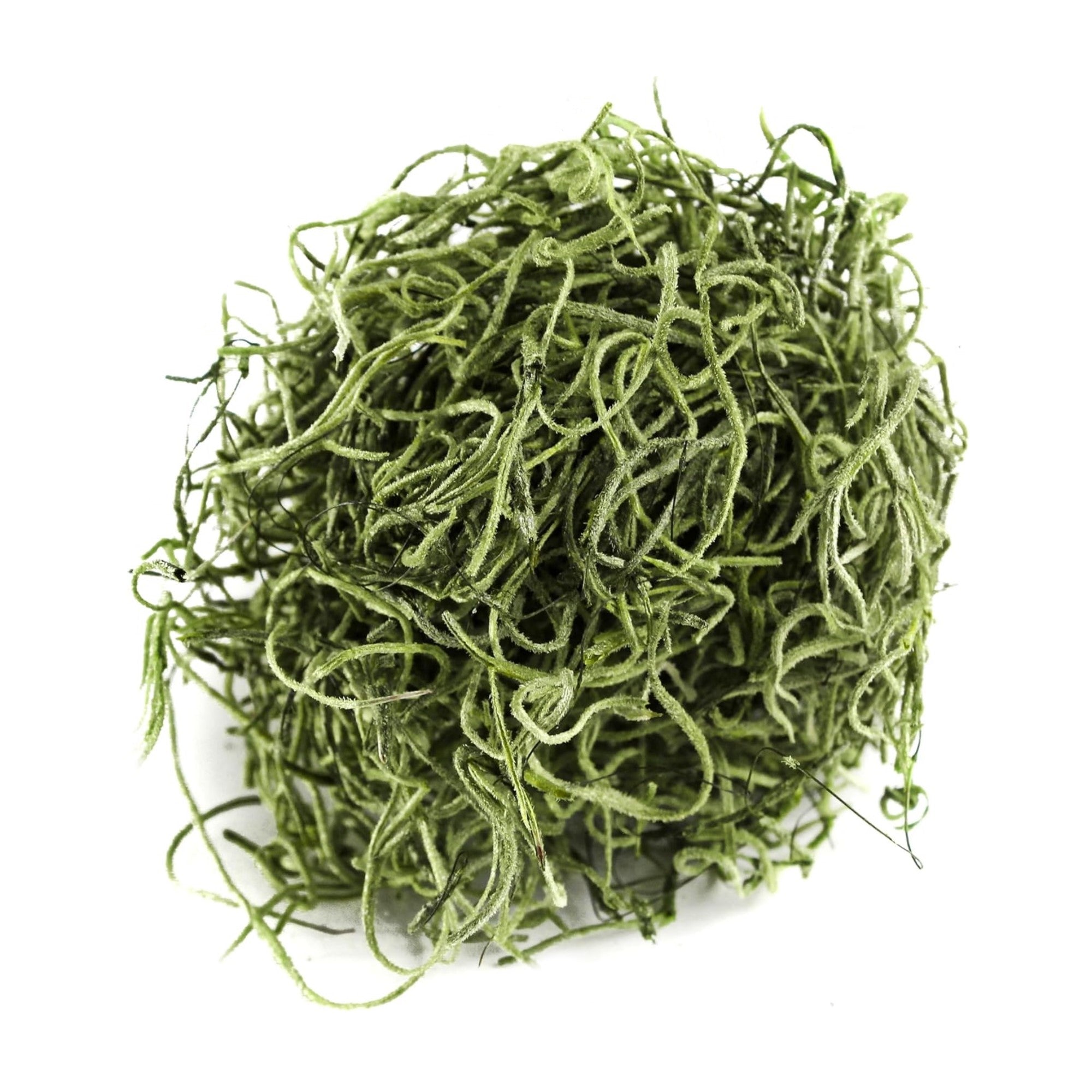 SuperMoss Preserved Spanish Moss, Basil, 2oz