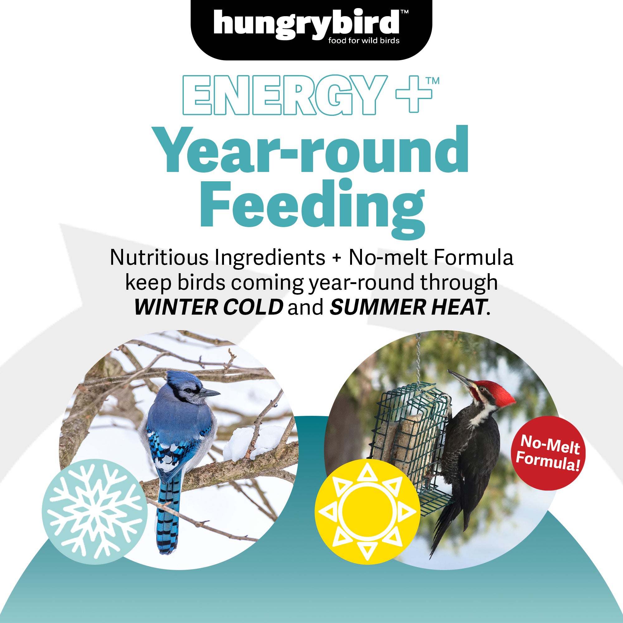 Hungrybird Energy+ No-Melt, High-Protein Suet Cake with Peanut Butter Filling