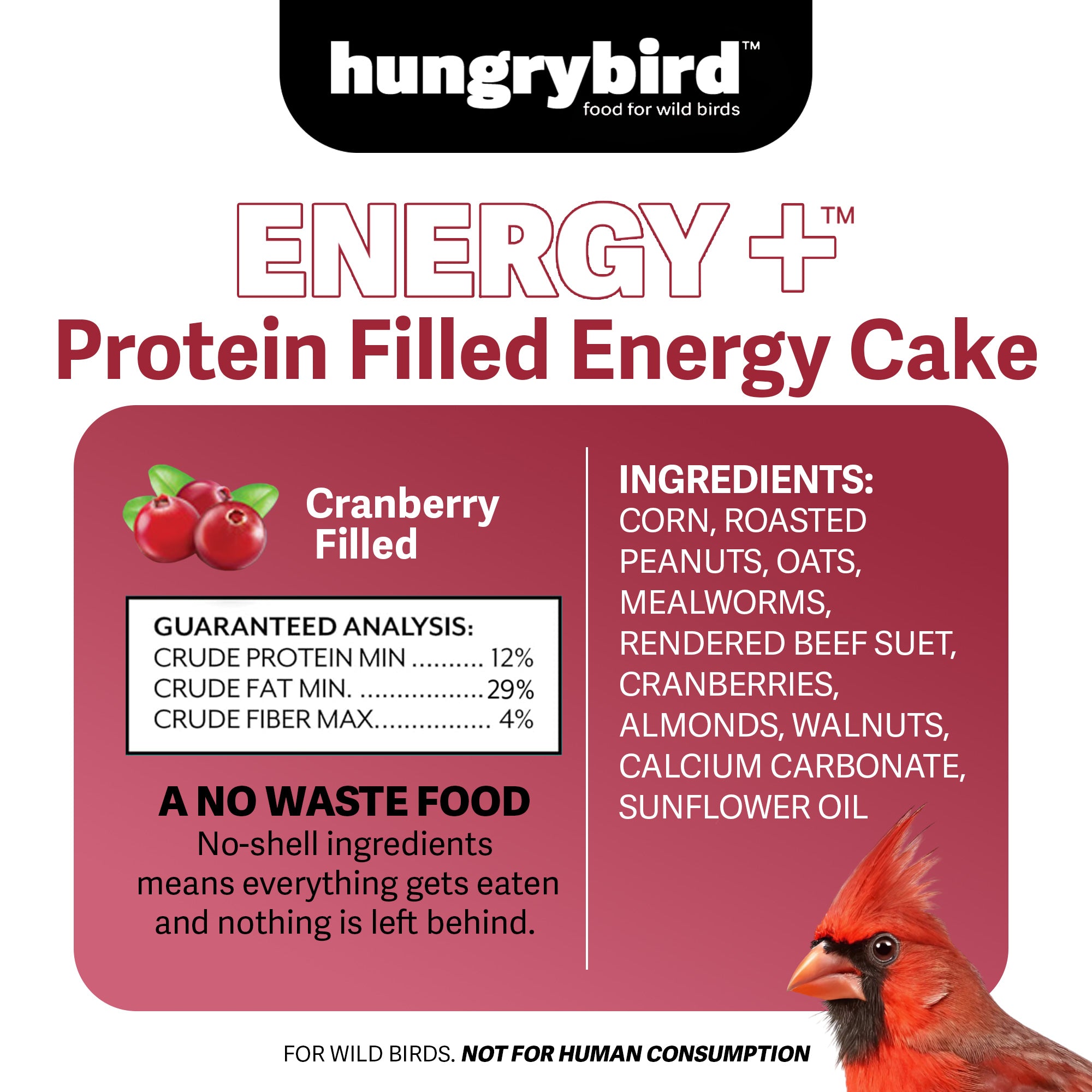 Hungrybird Energy+ No-Melt, High-Protein Suet Cake with Cranberry Filling