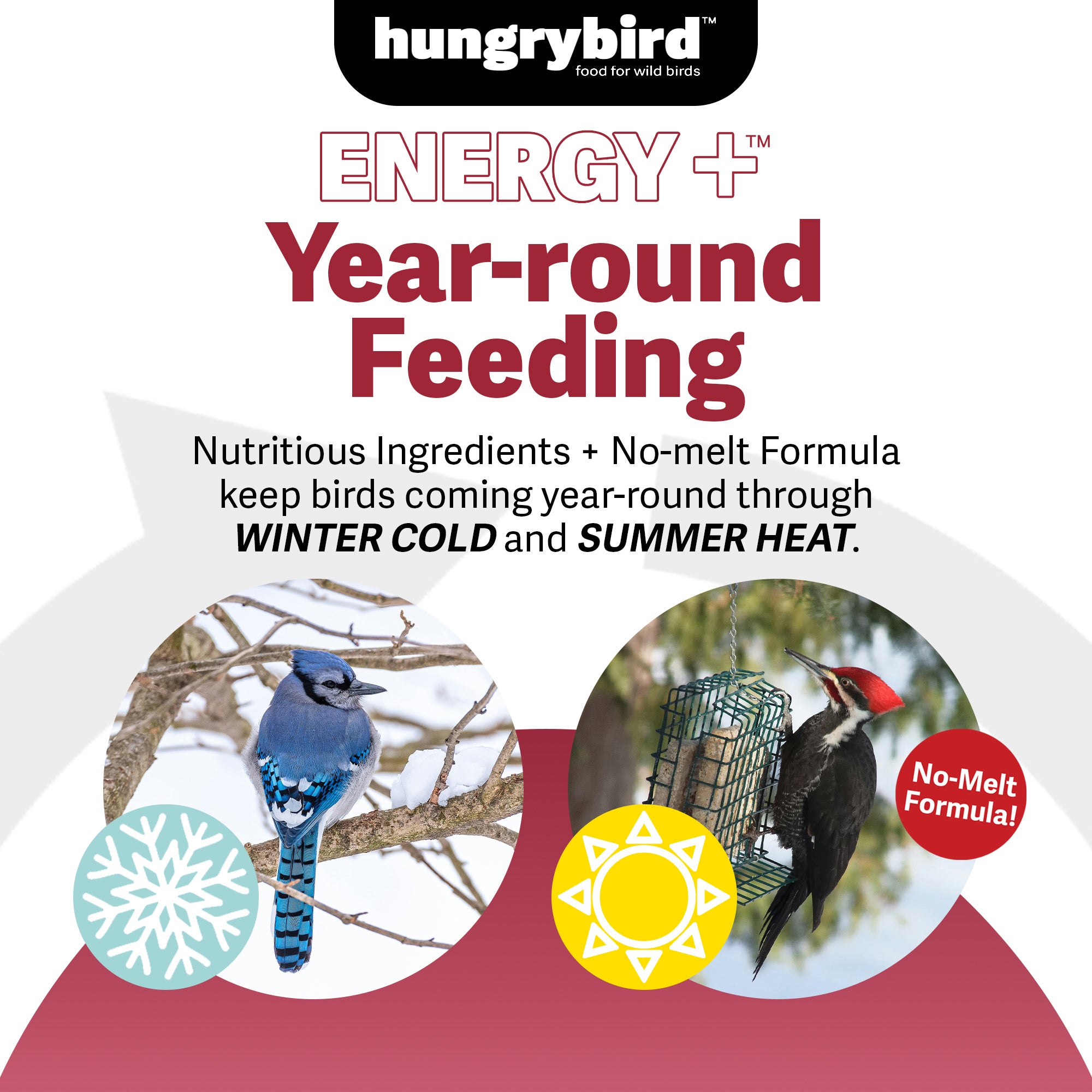 Hungrybird Energy+ No-Melt, High-Protein Suet Cake with Cranberry Filling