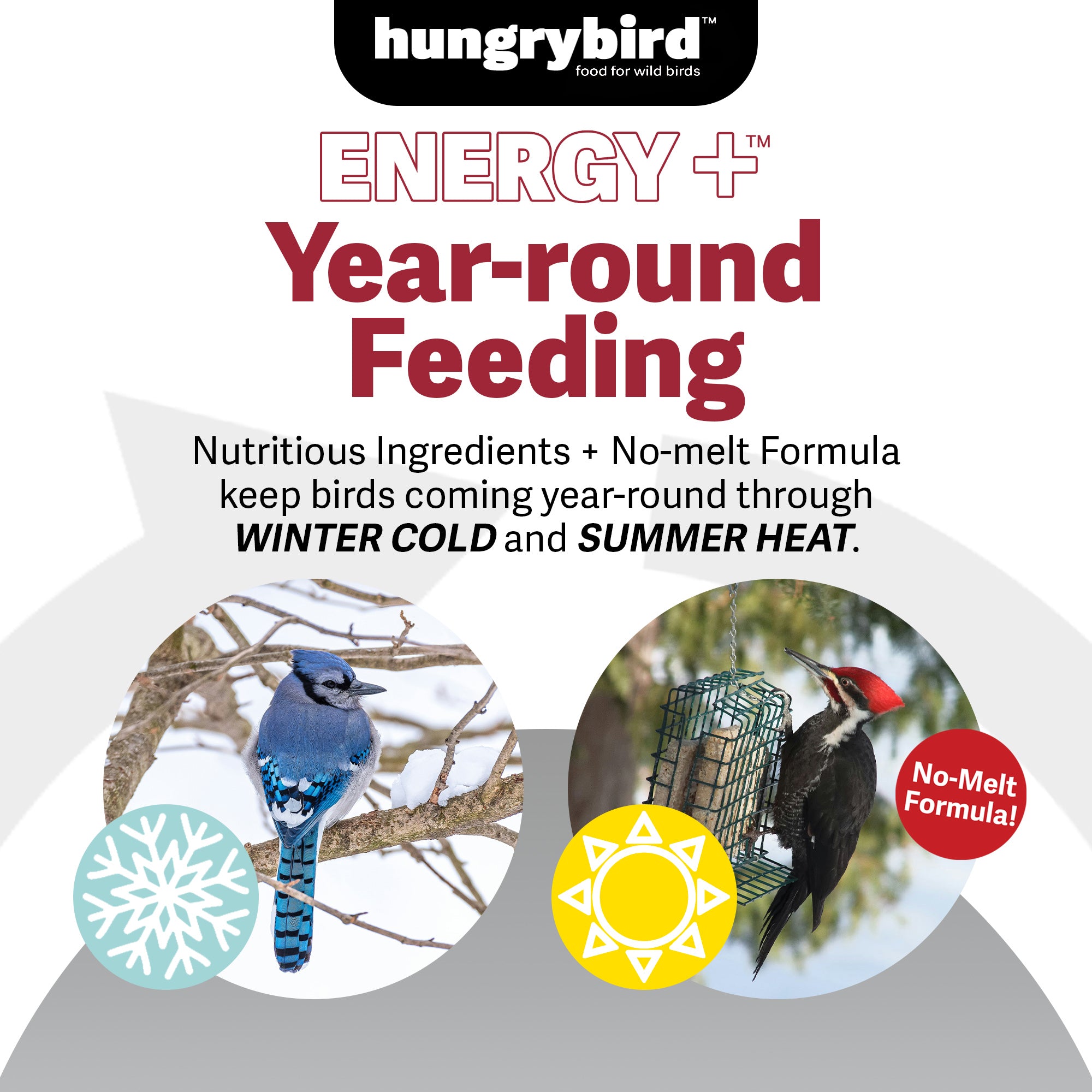 Hungrybird Energy+ No-Melt, High-Protein Suet Cake with Mealworm Filling