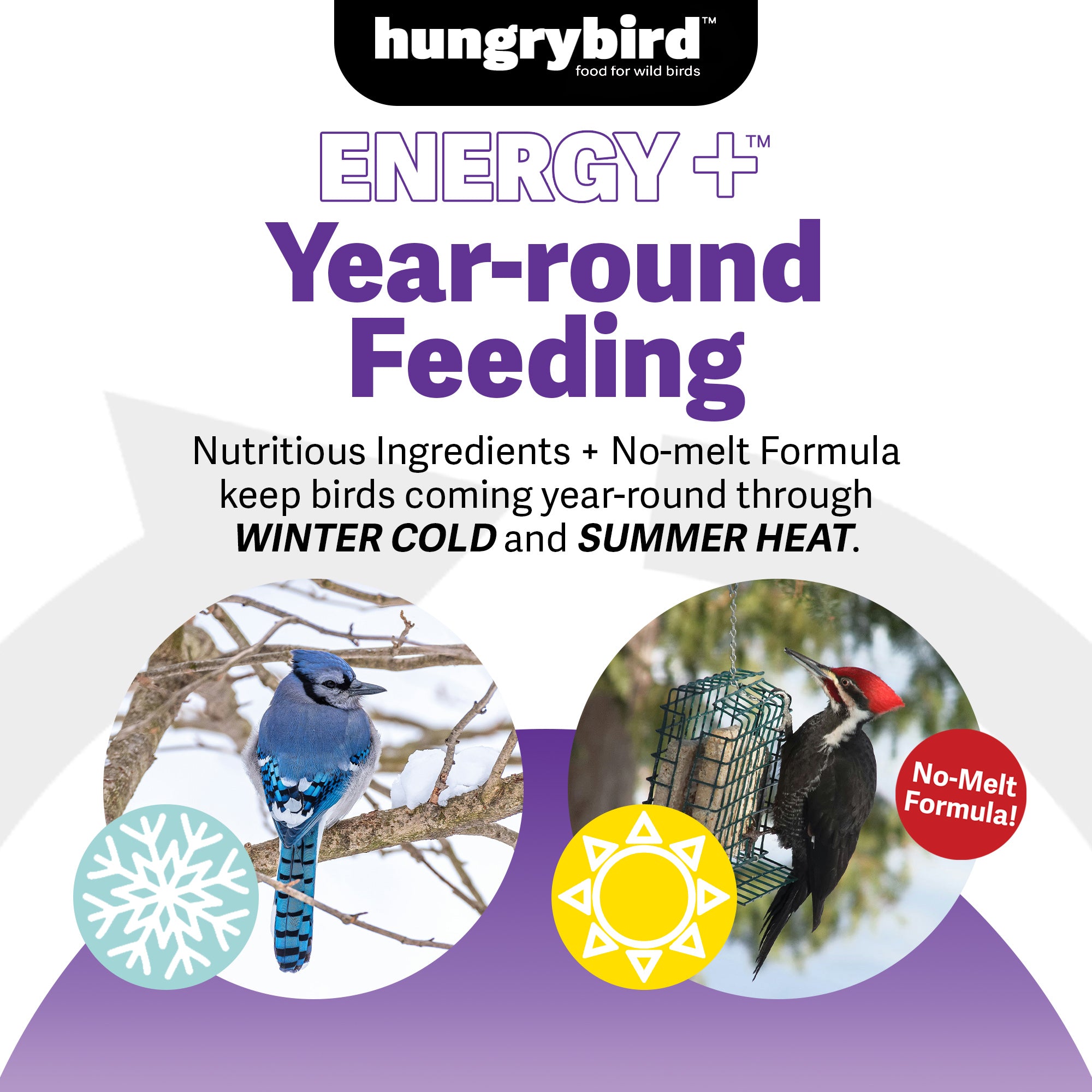 Hungrybird Energy+ No-Melt, High-Protein Suet Cake with Berry Filling