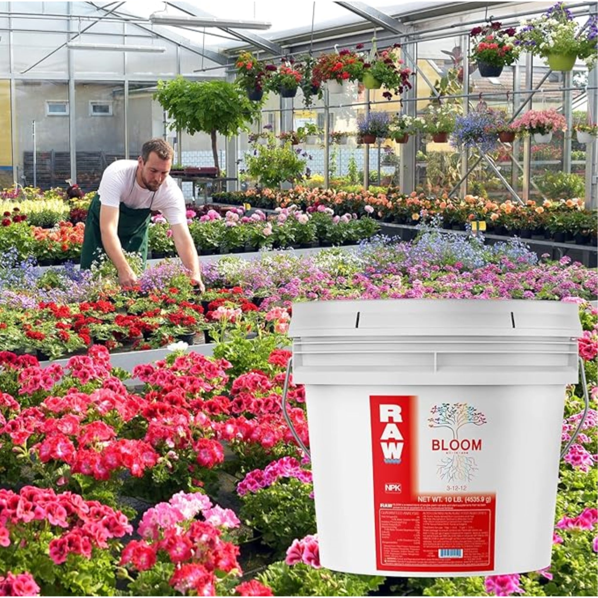 RAW All in One Bloom 3-12-12 Water-Soluble Fertilizer for Strong Bloom Performance, 10lbs