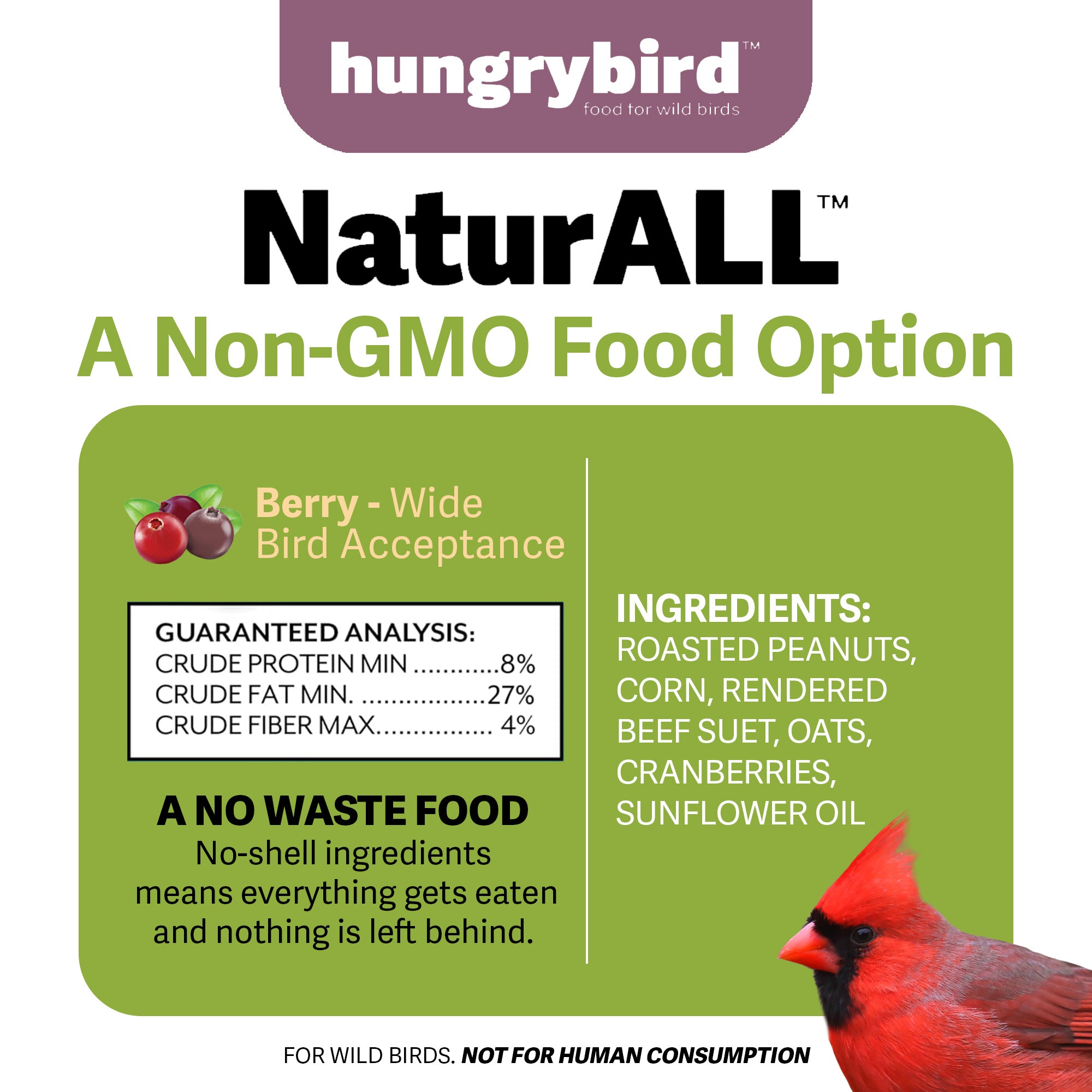 Hungrybird NaturAll Non-GMO, High-Protein Berry Suet Cake for Outside Wild Bird Feeders