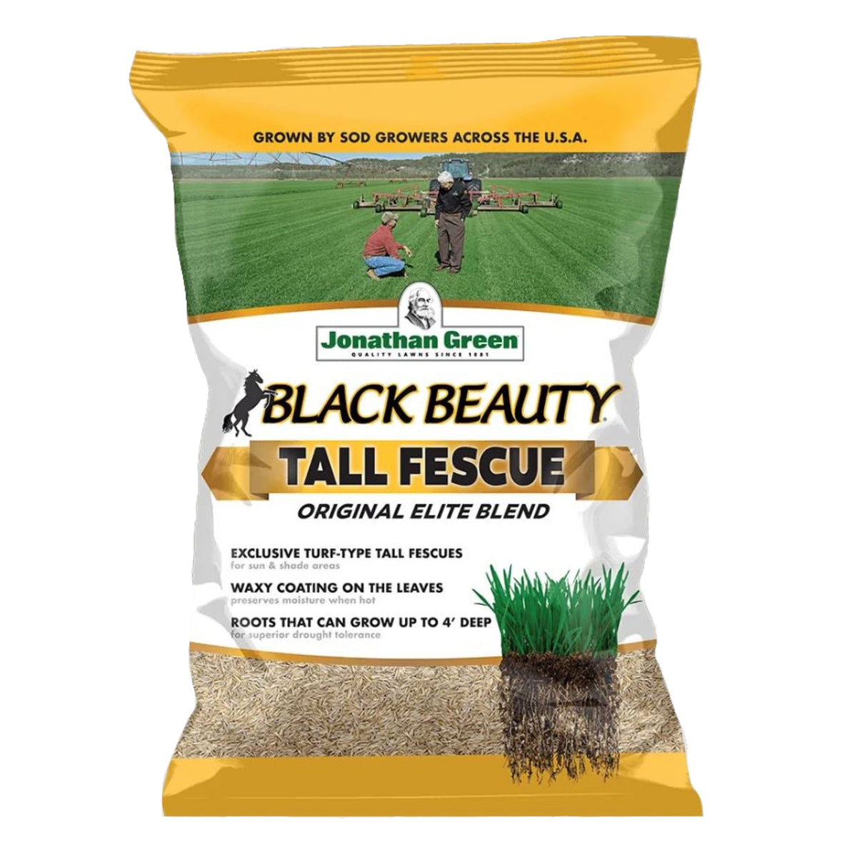 Jonathan Green Black Beauty Original Tall Fescue Grass Seed Blend