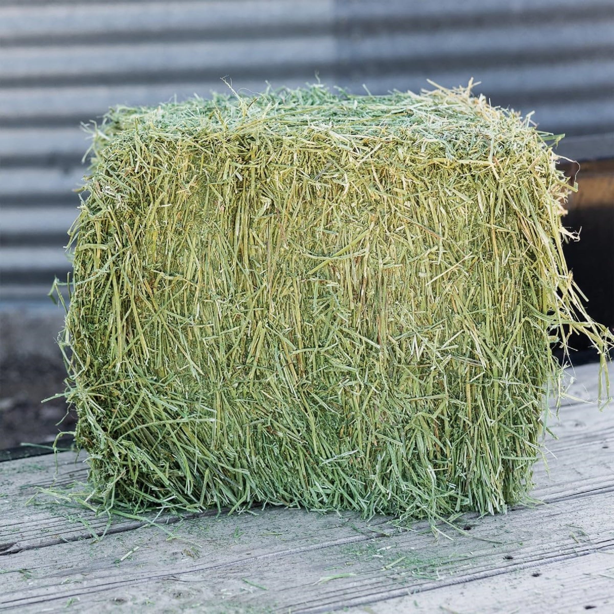 Standlee Premium Western Forage, Alfalfa Grab & Go Compressed Bale, 50lb