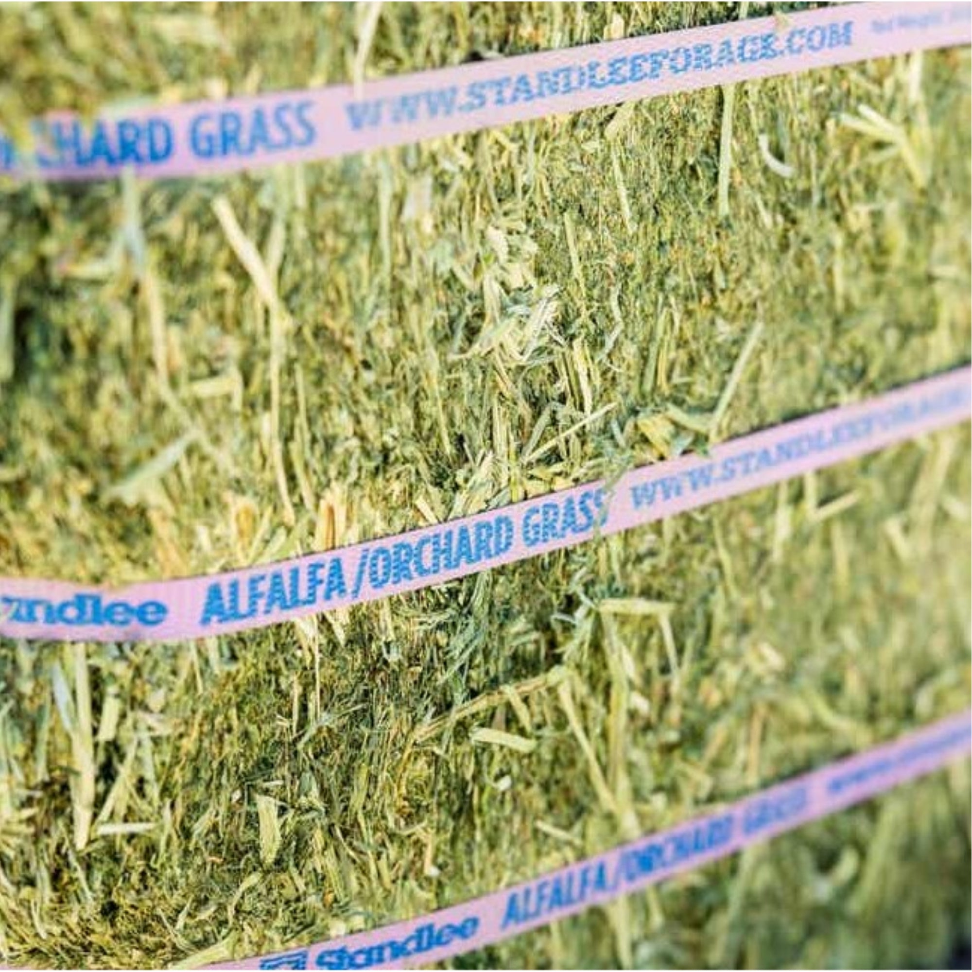 Standlee Premium Western Forage, Alfalfa/Orchard Grass, Grab & Go Compressed Bale, 50lb