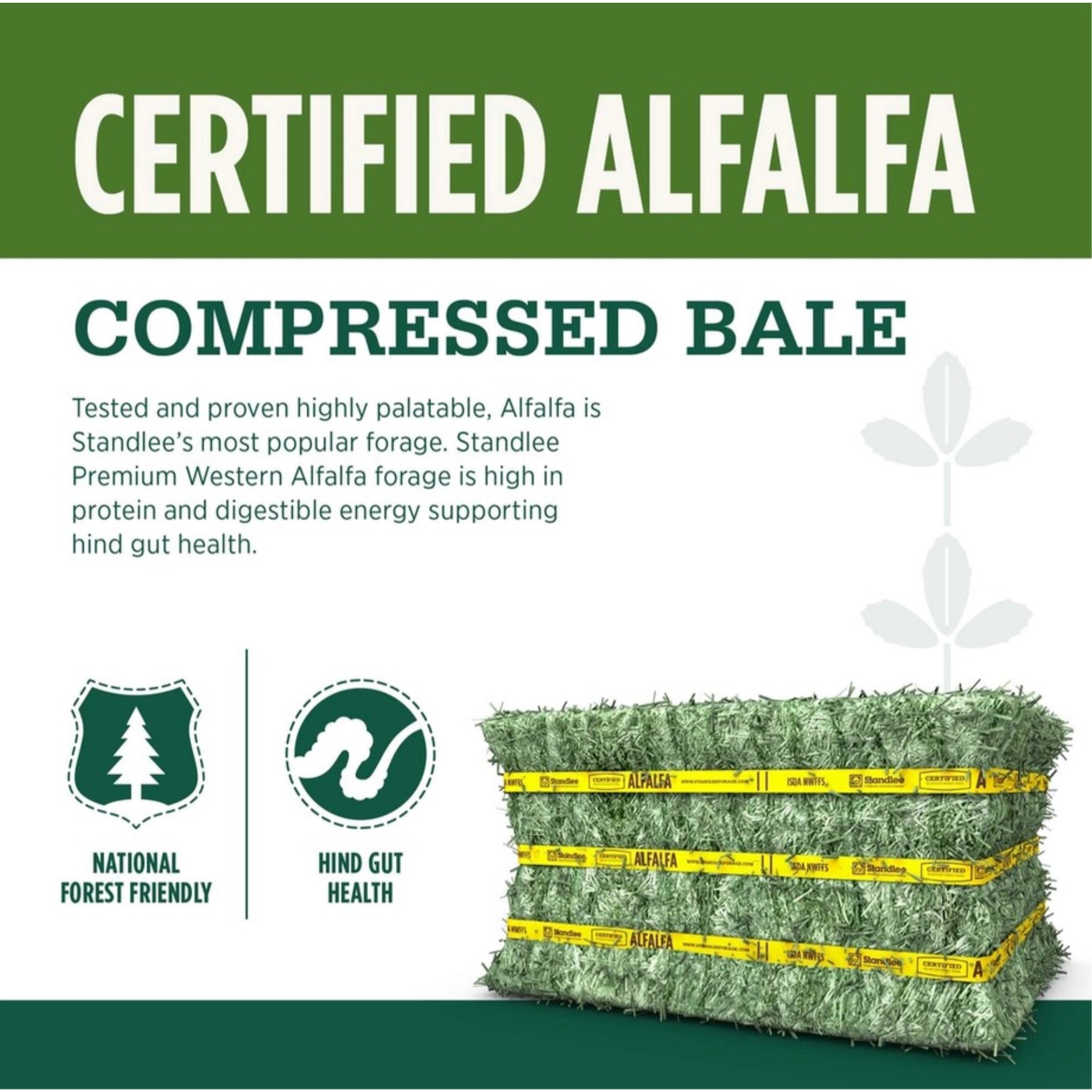 Standlee Premium Western Forage, Certified Alfalfa Grab & Go Compressed Bale, 50lb