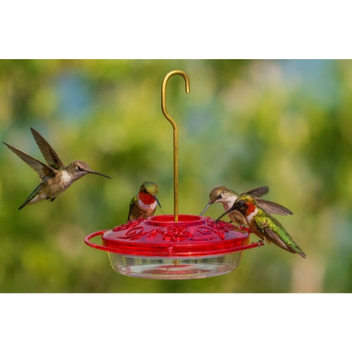 Aspects Little Fancy Red Hummingbird Feeder — 3 Feeding Ports & Ant Moat — 8 oz