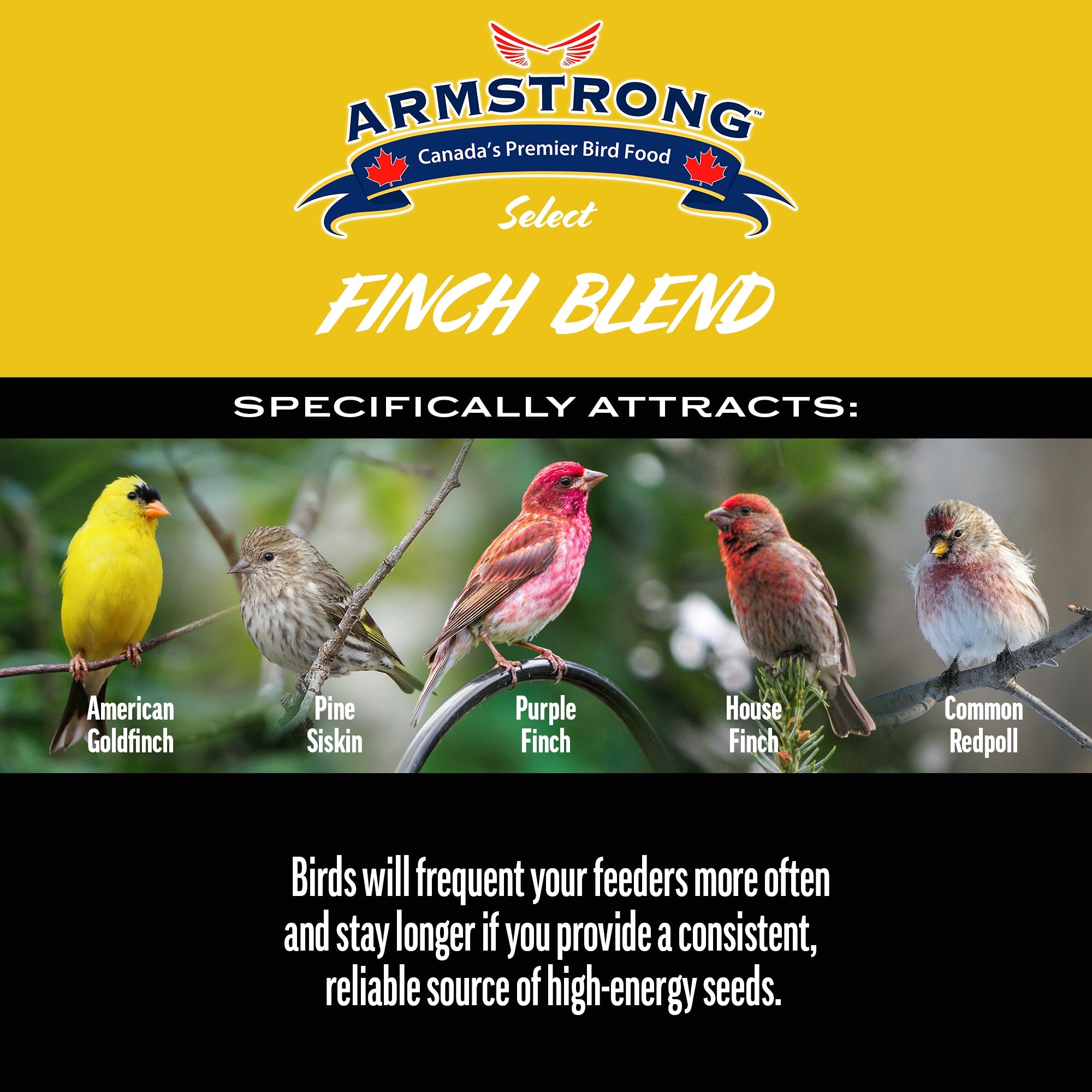 Armstrong Wild Bird Select Finch Blend, 4lbs