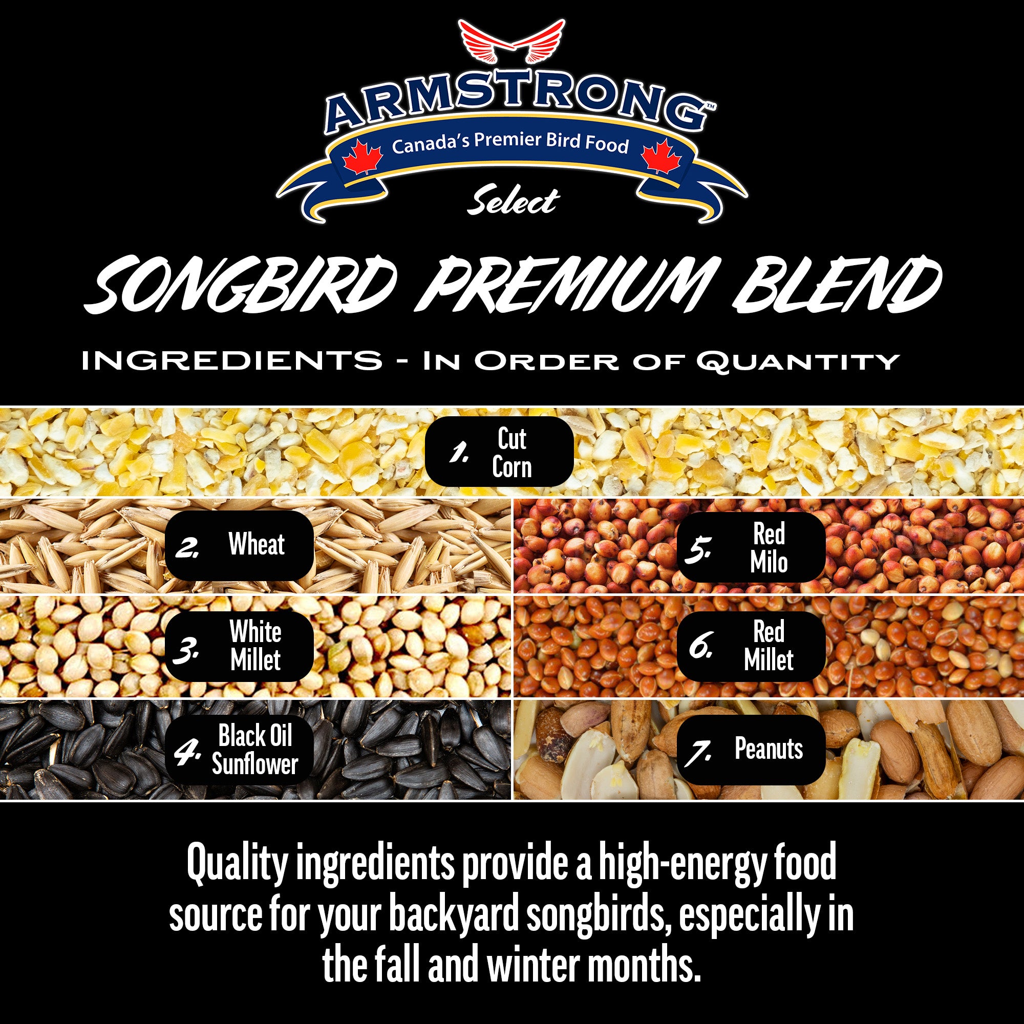 Armstrong Wild Bird Select Songbird Premium Blend, 4lbs