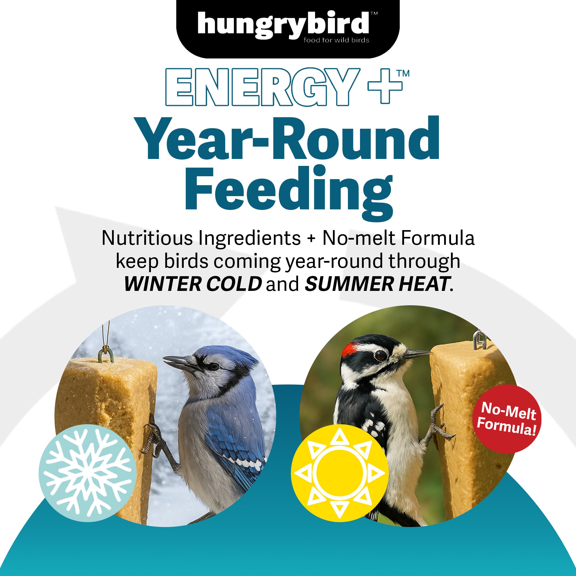 Hungrybird Energy+ High-Protein Suet Bar with Peanut Butter Filling