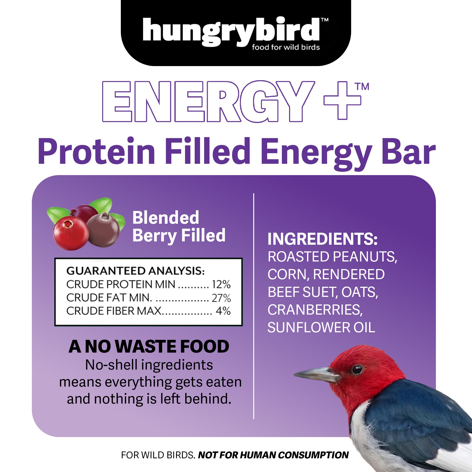 Hungrybird Energy+ High-Protein Suet Bar with Blended Berry Filling