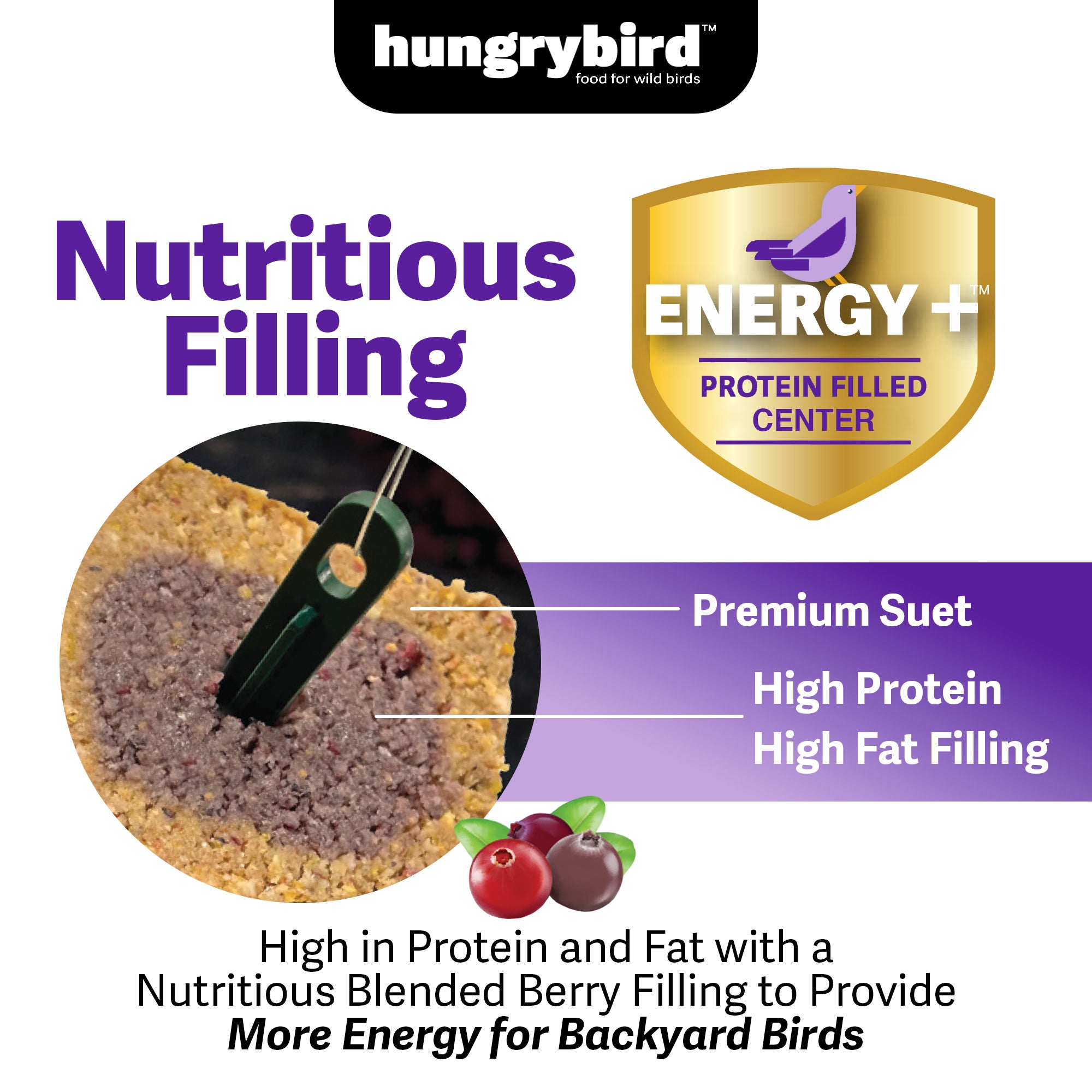 Hungrybird Energy+ High-Protein Suet Bar with Blended Berry Filling