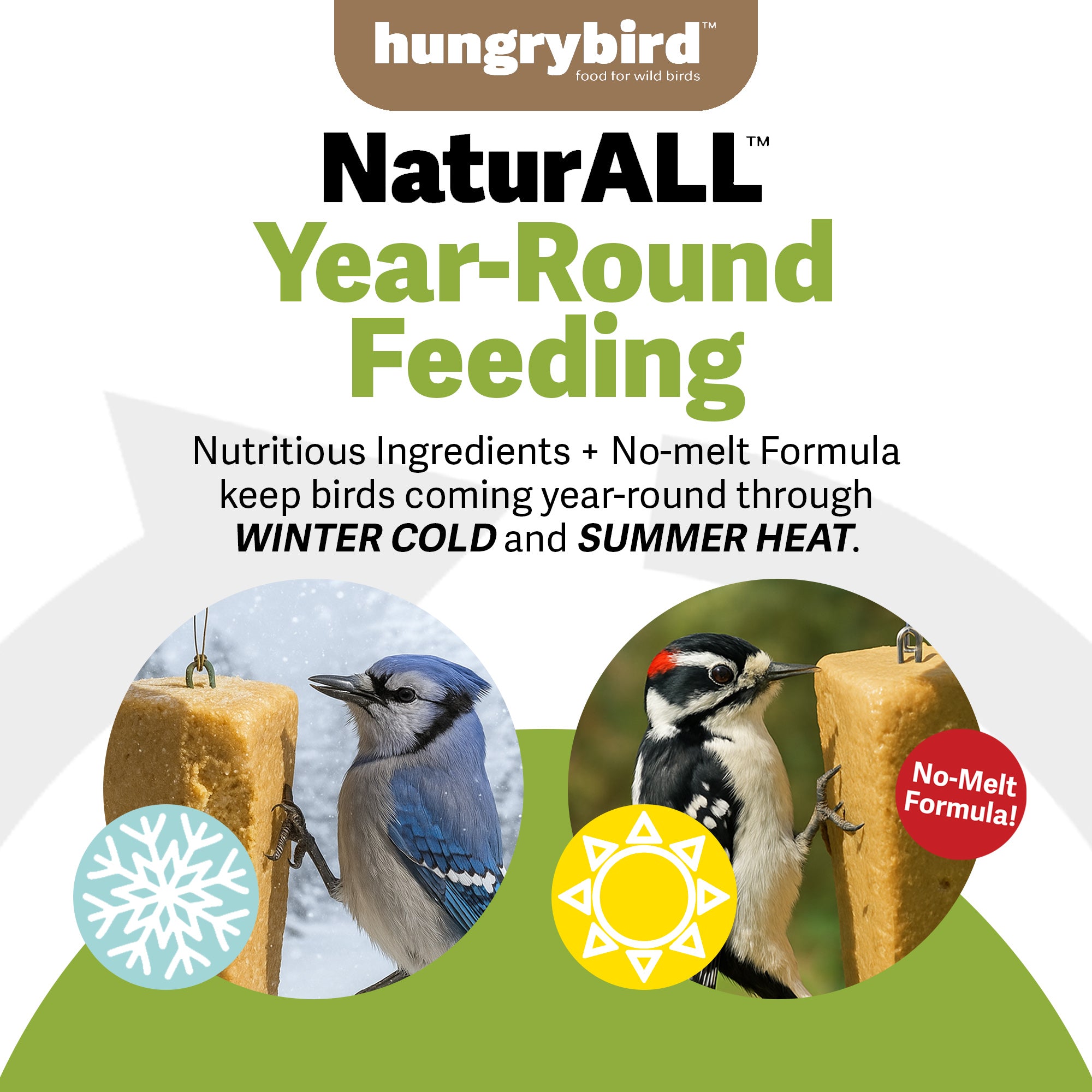 Hungrybird NaturAll Non-GMO, High-Protein Suet Bar with Peanut Butter Filling