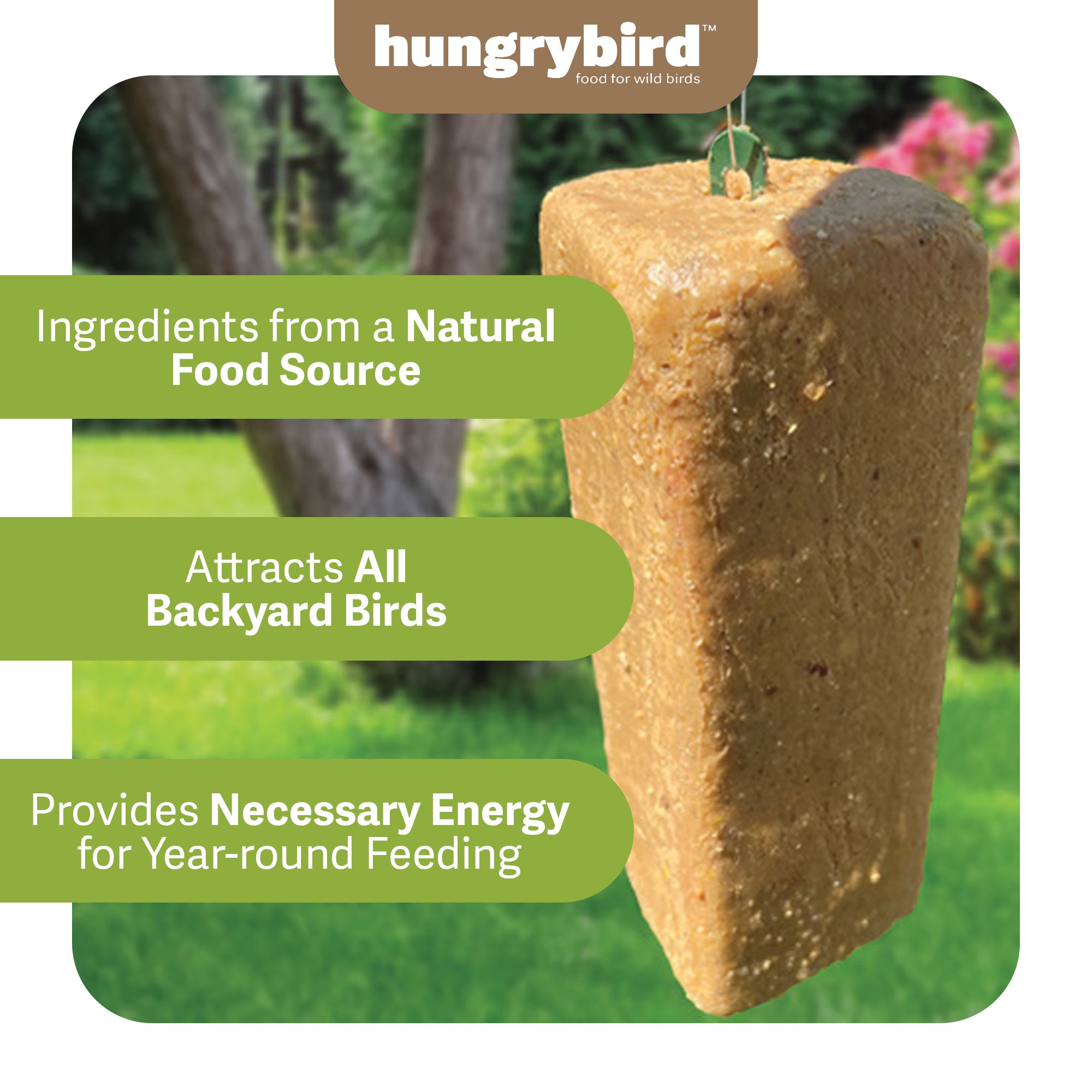 Hungrybird NaturAll Non-GMO, High-Protein Suet Bar with Peanut Butter Filling