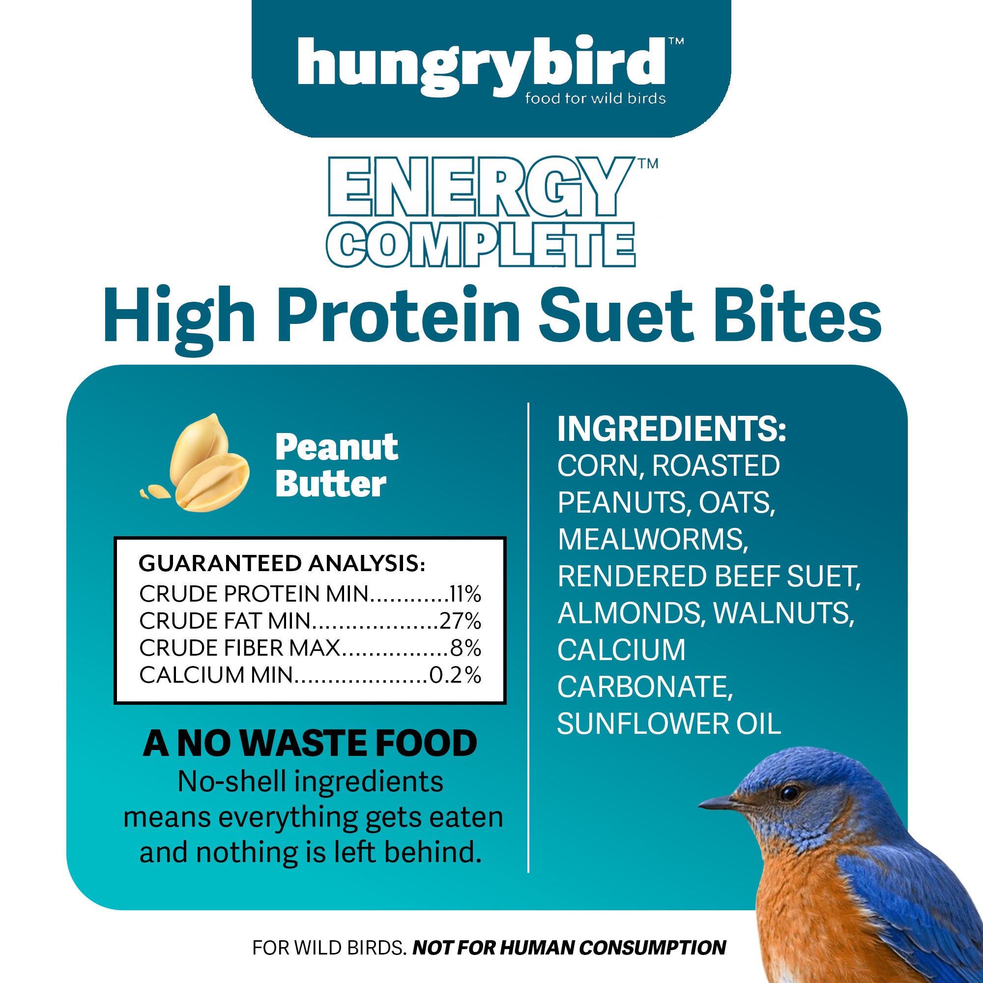 Hungrybird Energy Complete, 3lb - High-Protein Peanut Butter Suet Bites