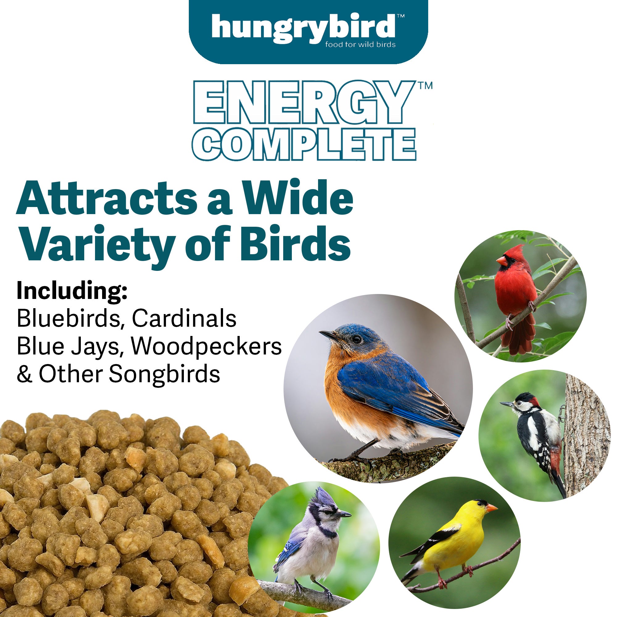 Hungrybird Energy Complete, 3lb - High-Protein Peanut Butter Suet Bites